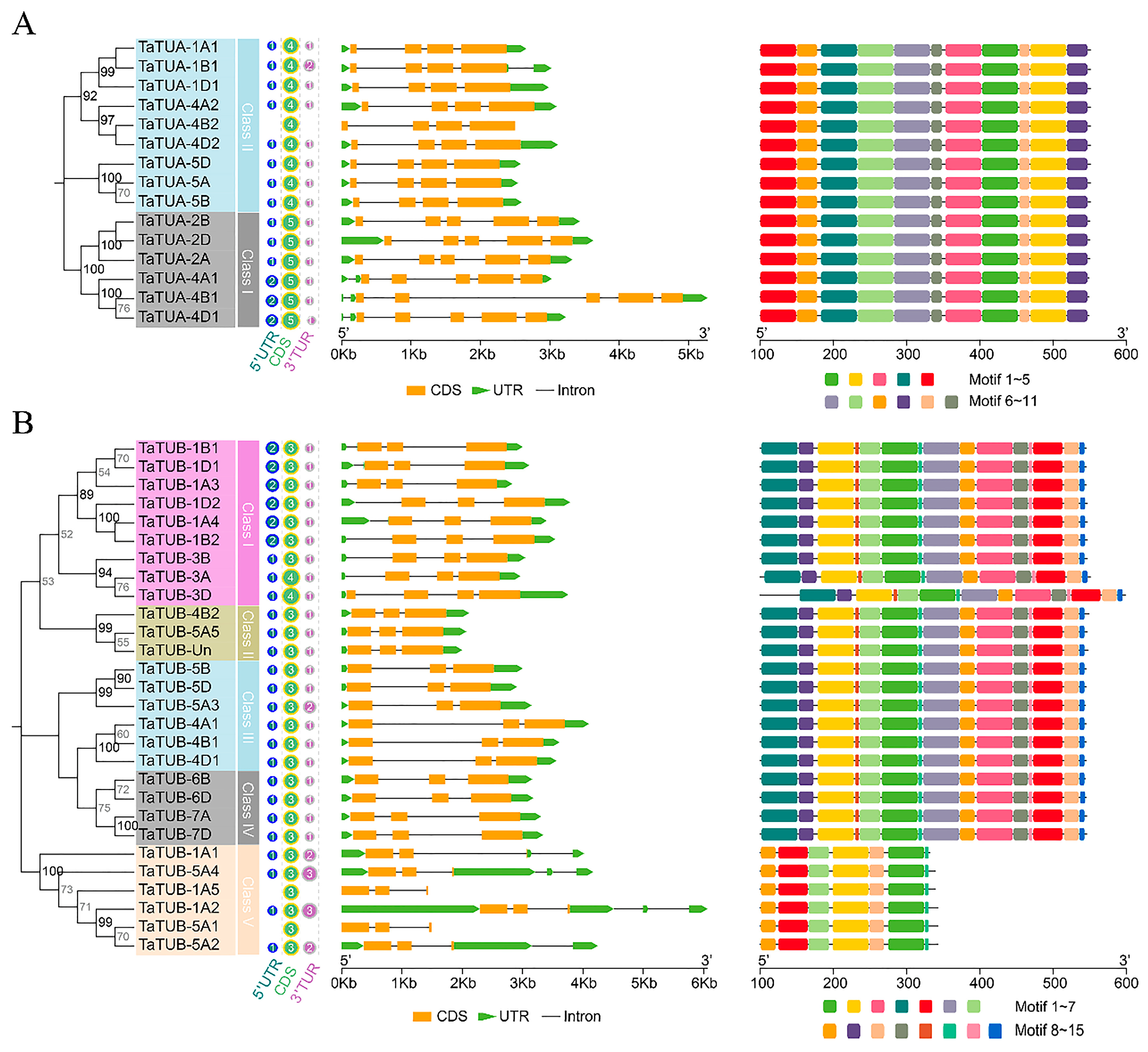 Plants 11 03495 g004