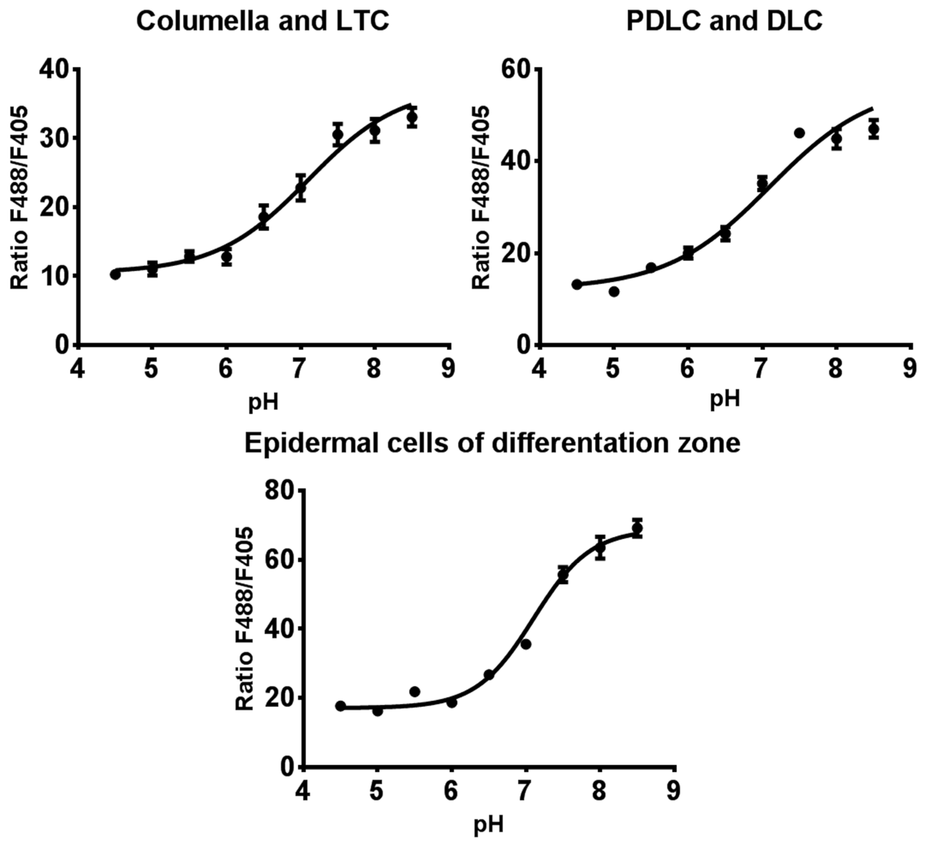 Plants 11 03532 g007 Plants 11 03532 g007