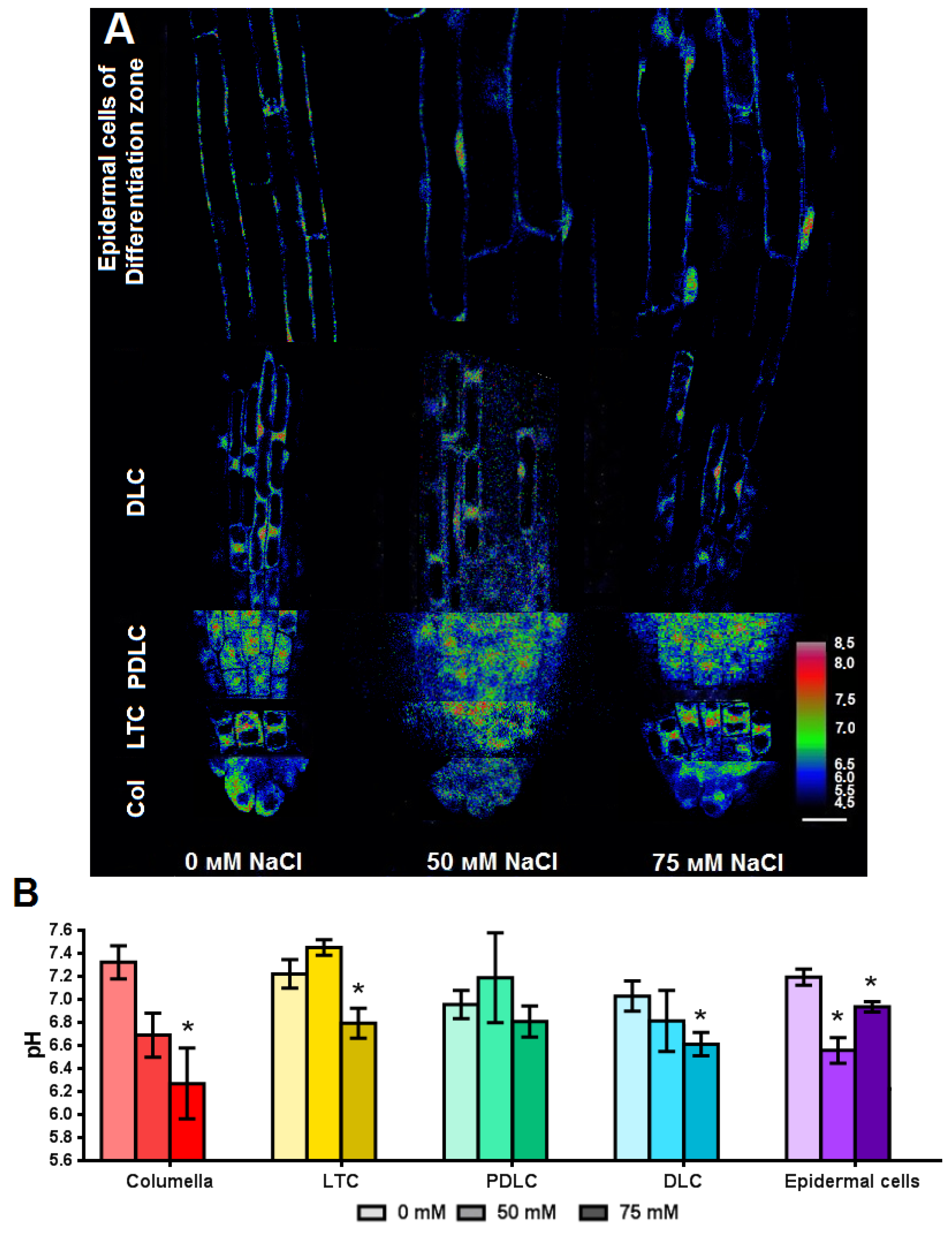 Plants 11 03532 g008 Plants 11 03532 g008