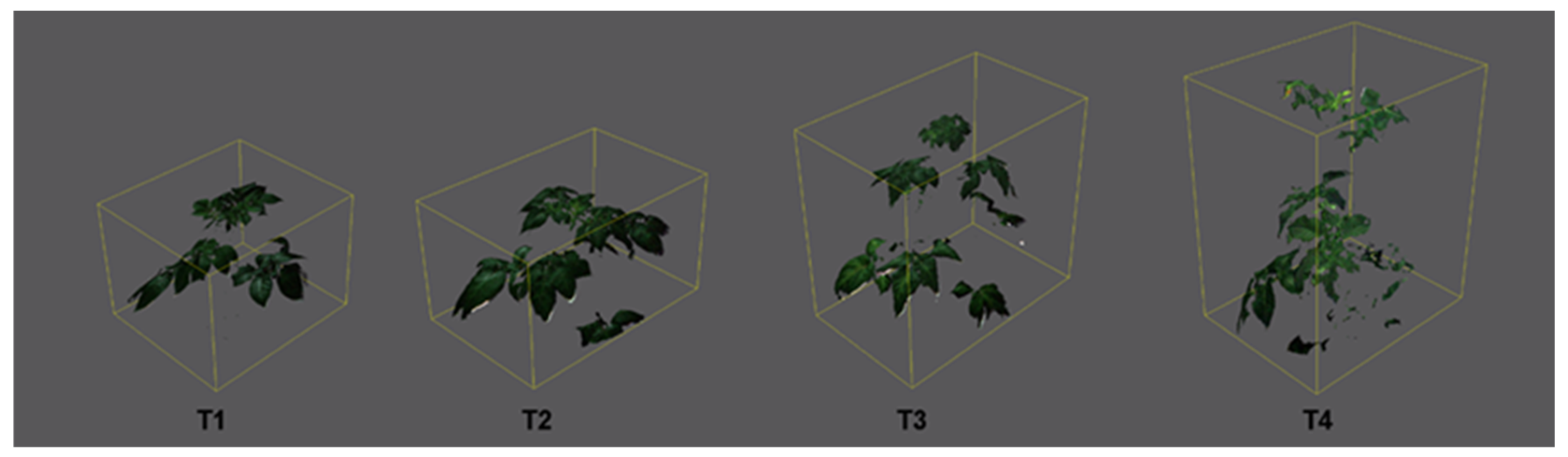 Plants 11 03534 g007