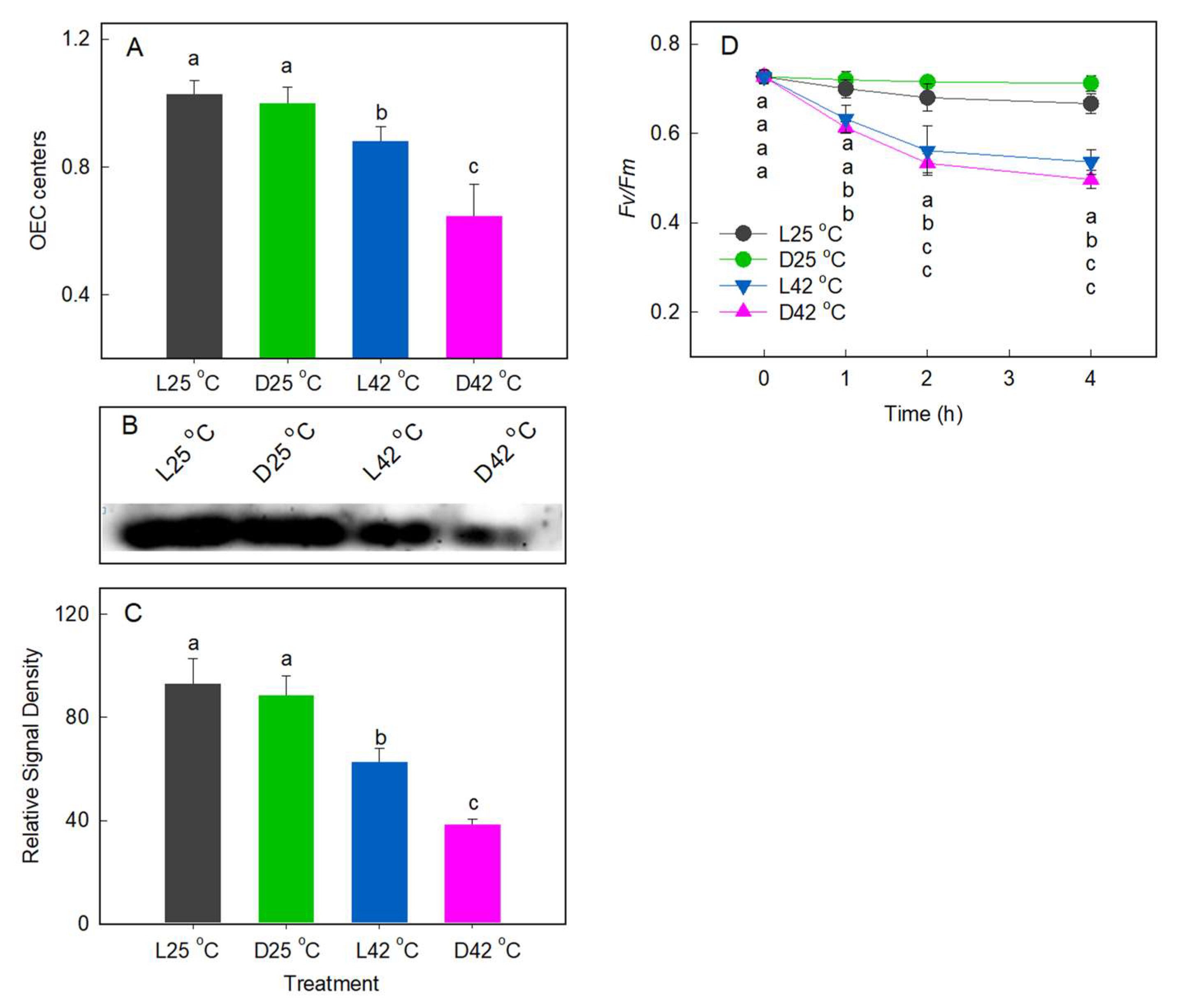 Plants 11 03537 g004