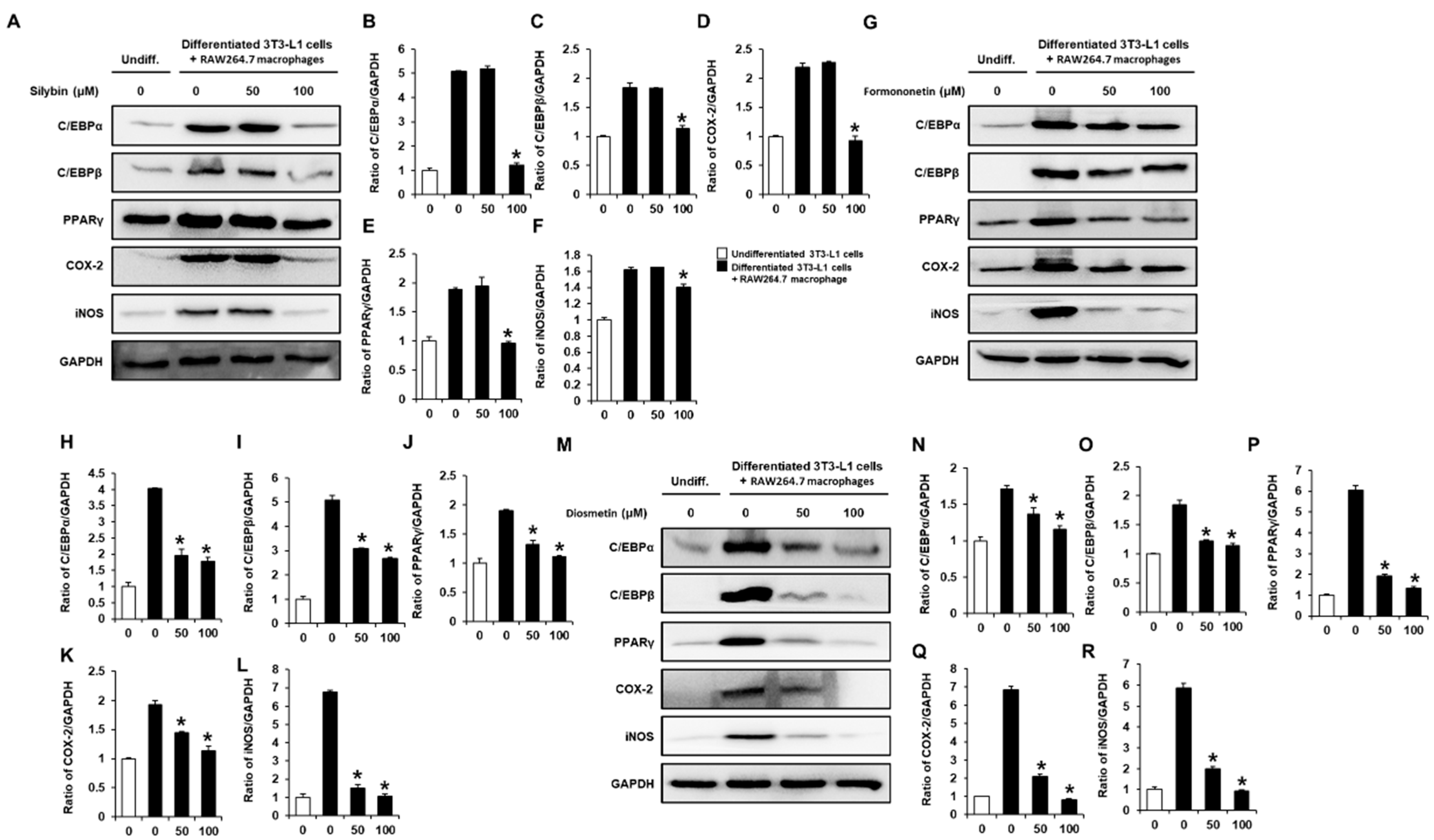 Plants 11 03552 g004