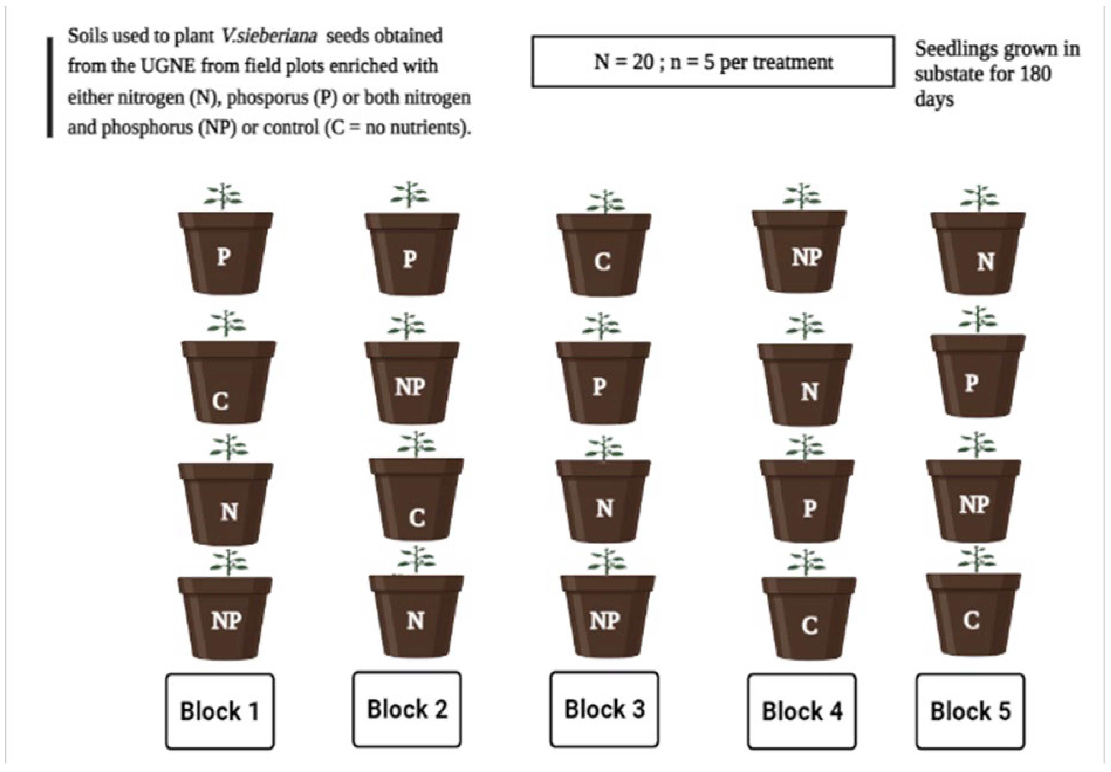 Plants 11 03564 g006