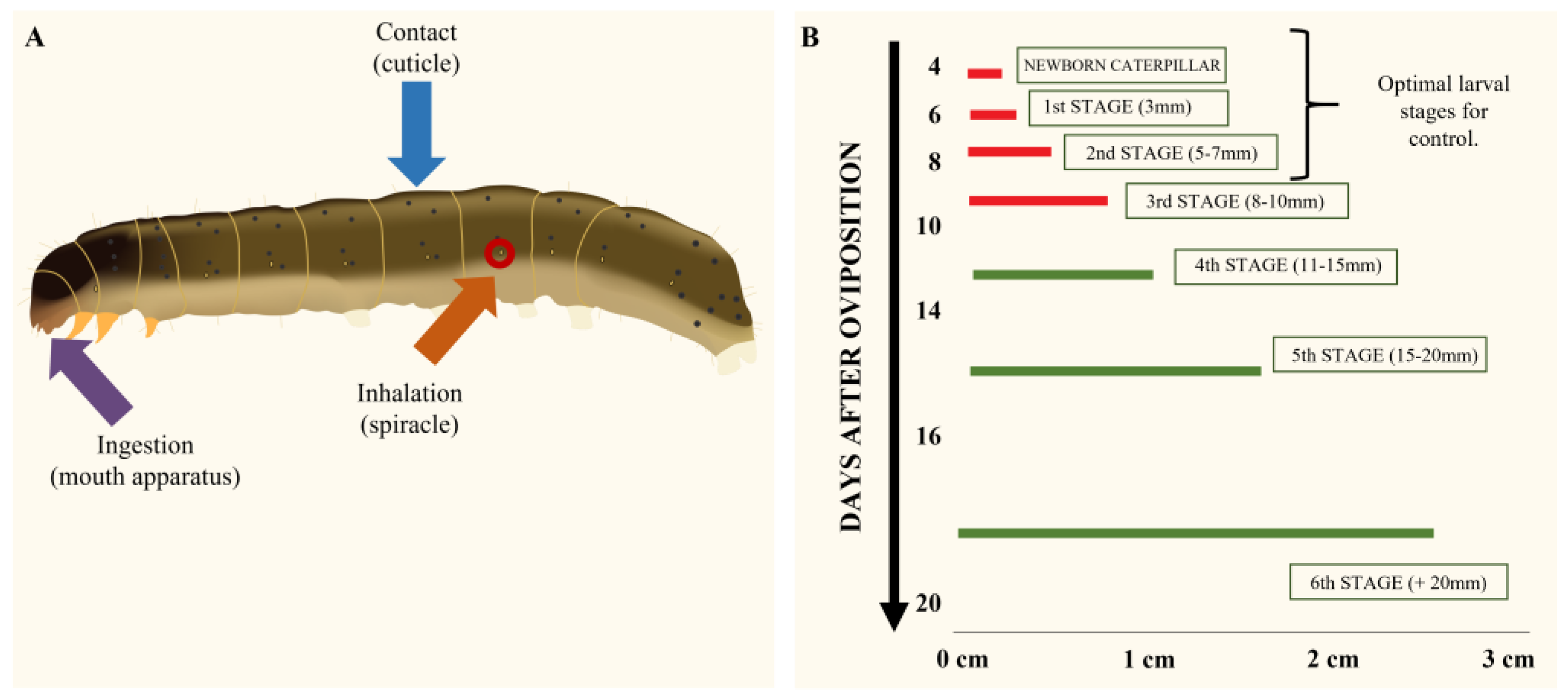 Plants 12 00003 g002 Plants 12 00003 g002