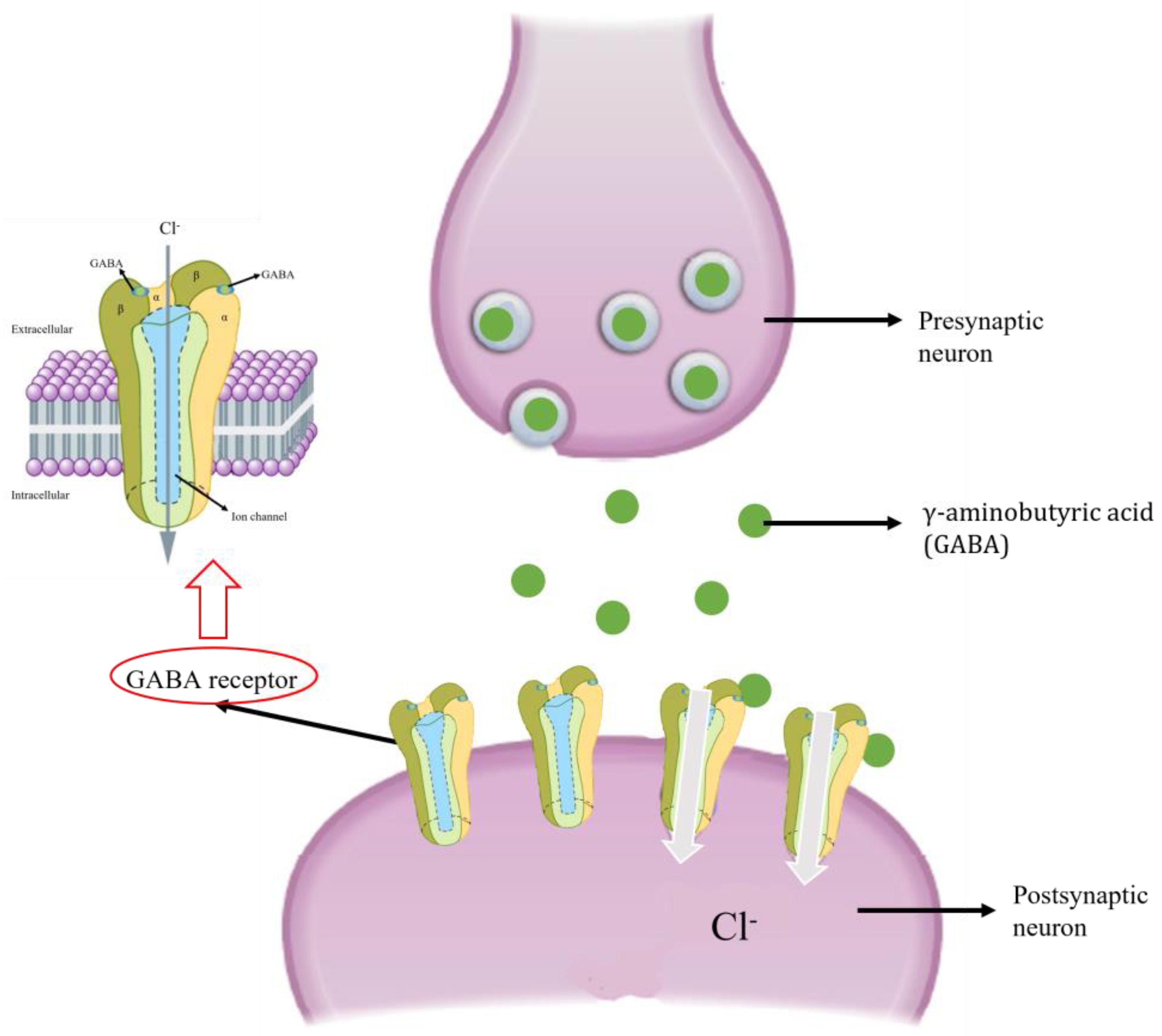 Plants 12 00003 g005 Plants 12 00003 g005