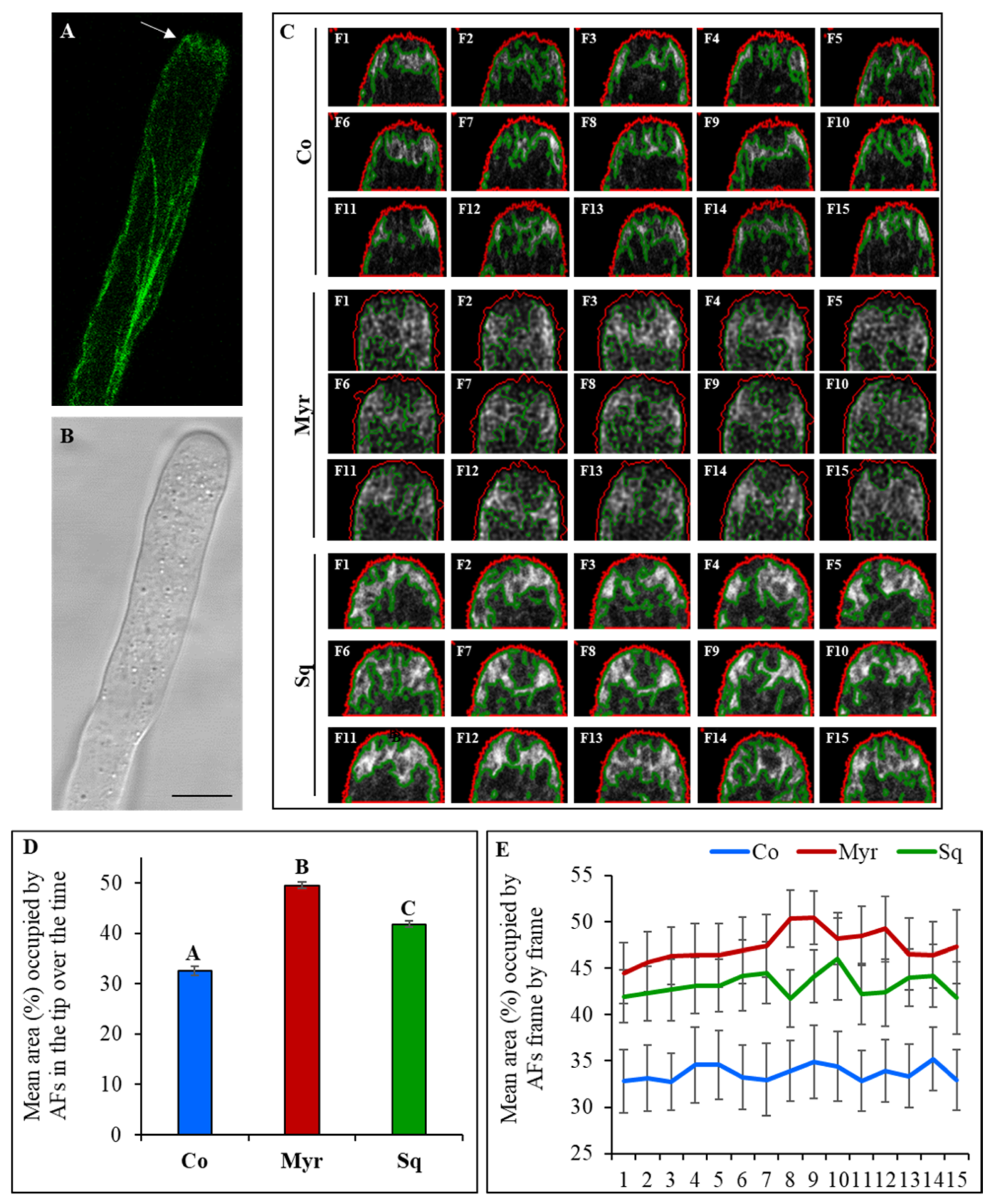 Plants 12 00008 g003 Plants 12 00008 g003