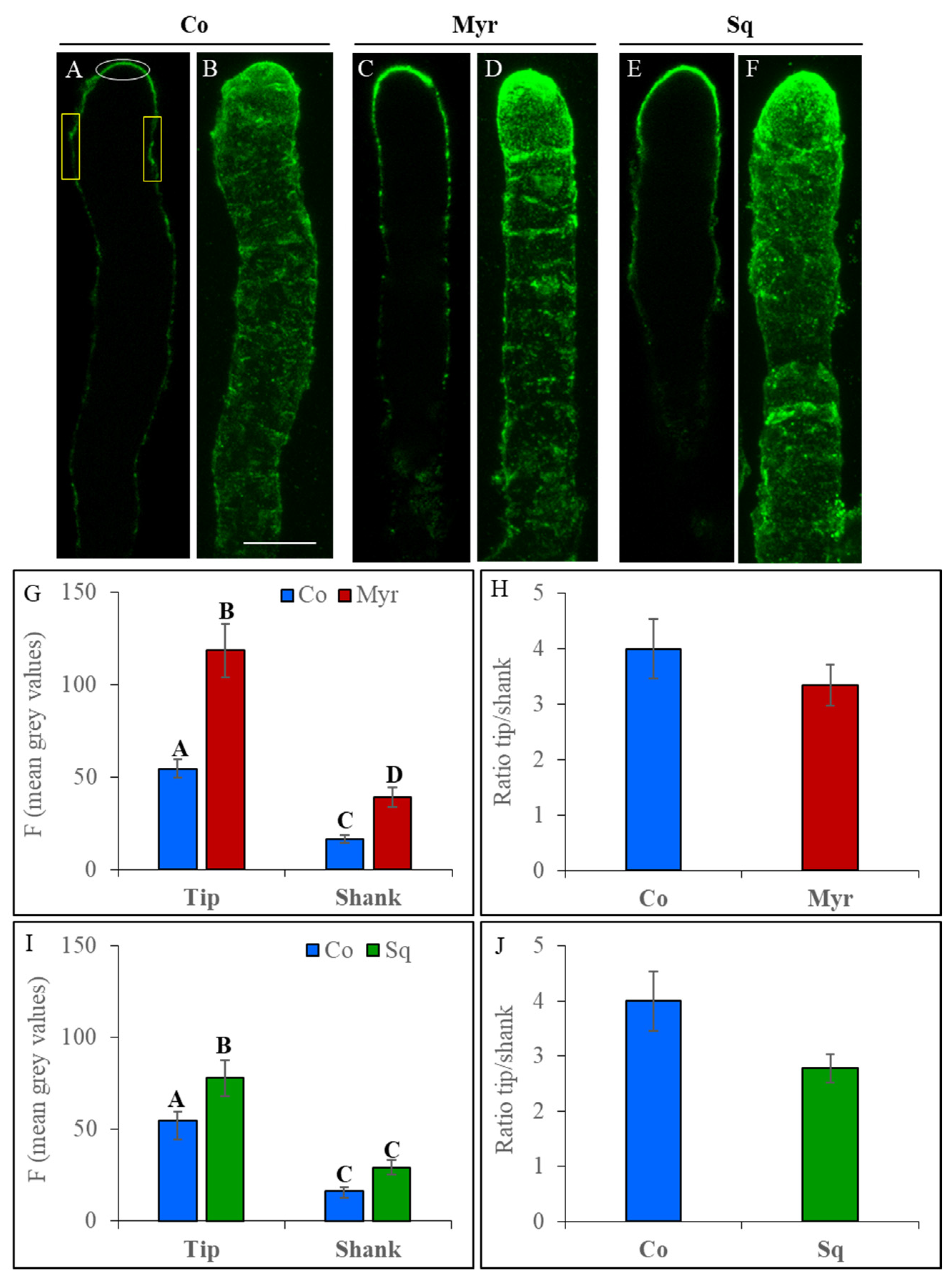 Plants 12 00008 g004 Plants 12 00008 g004