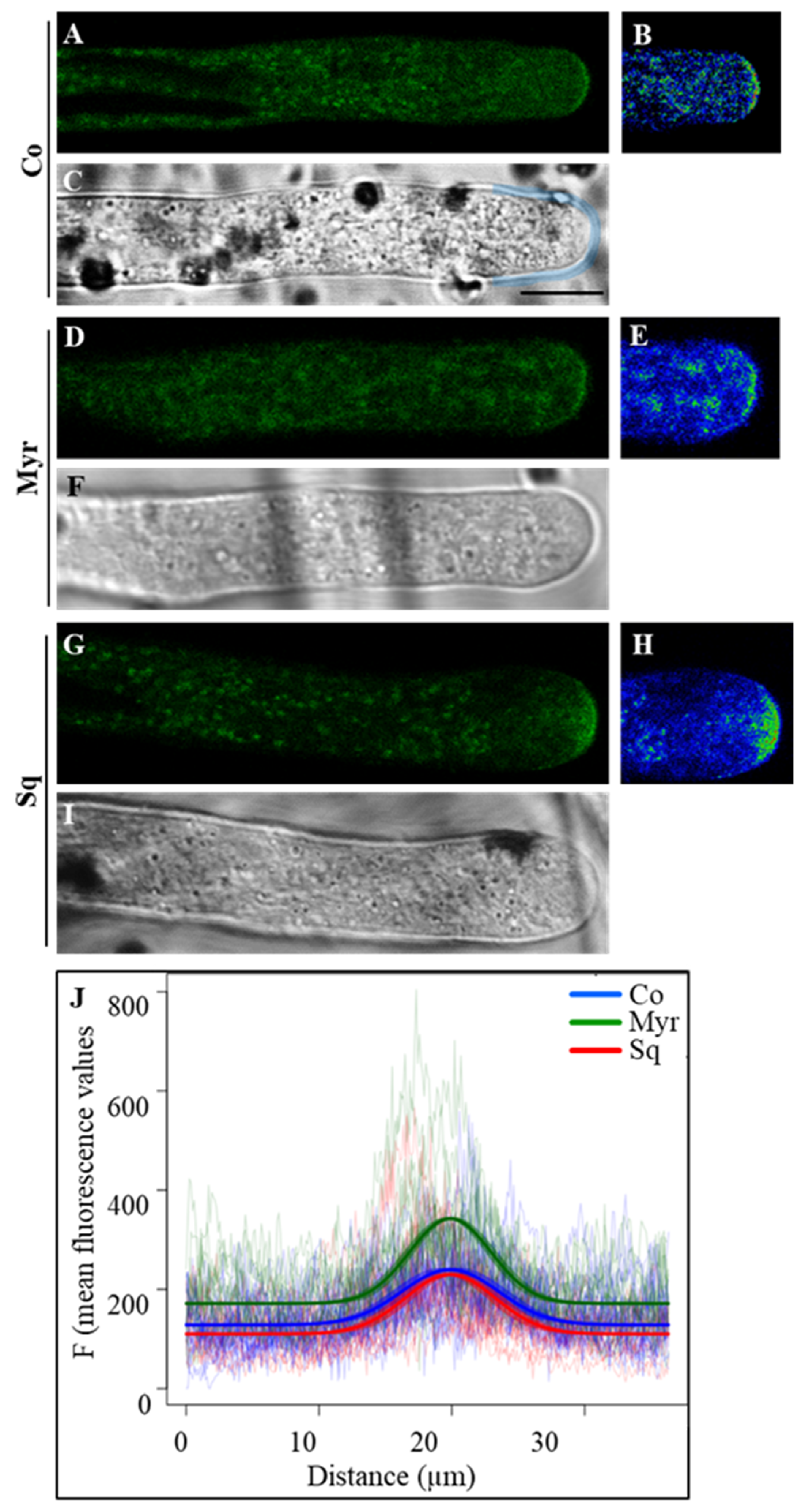 Plants 12 00008 g006 Plants 12 00008 g006