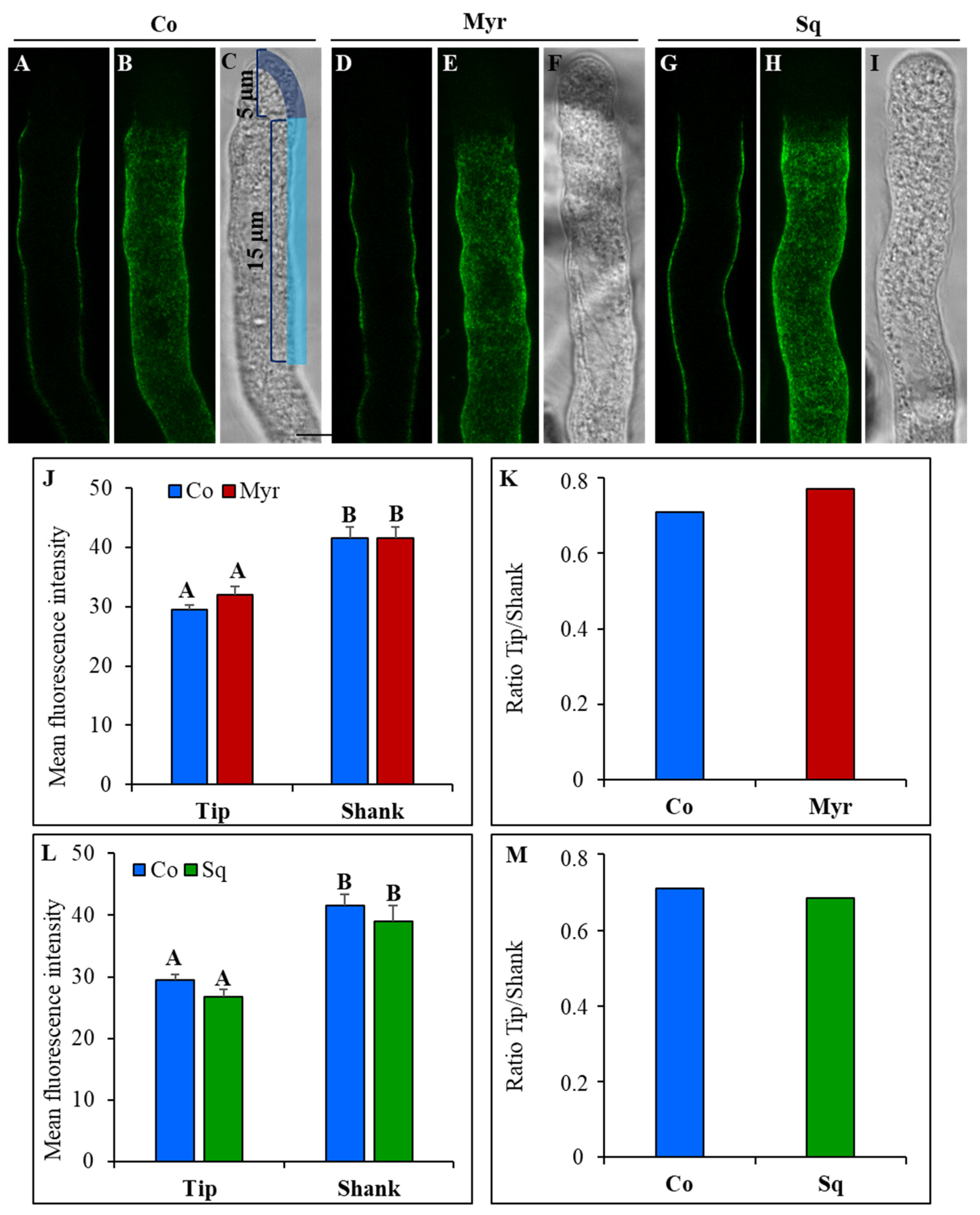 Plants 12 00008 g007 Plants 12 00008 g007