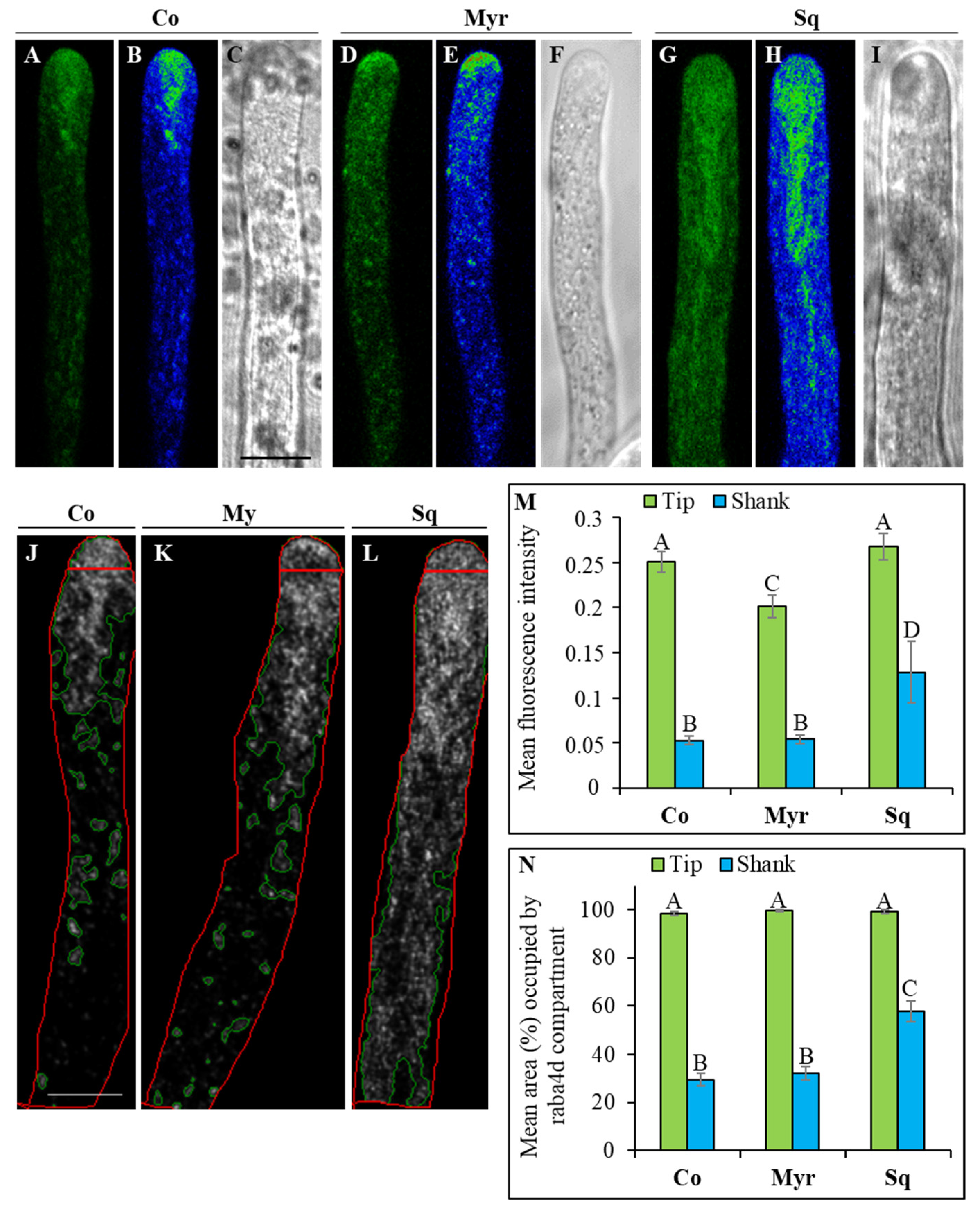 Plants 12 00008 g010 Plants 12 00008 g010