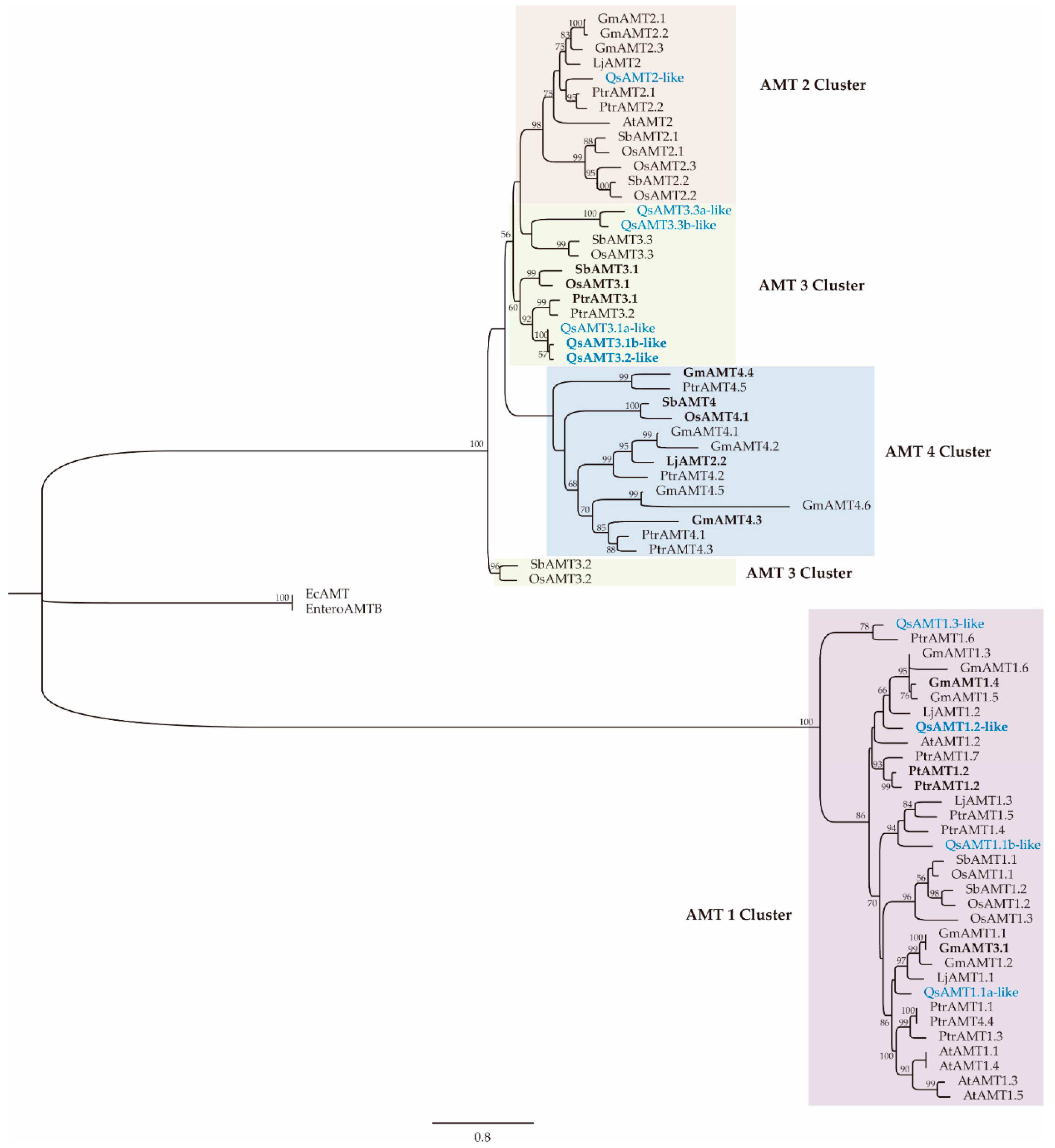 Plants 12 00010 g002 Plants 12 00010 g002