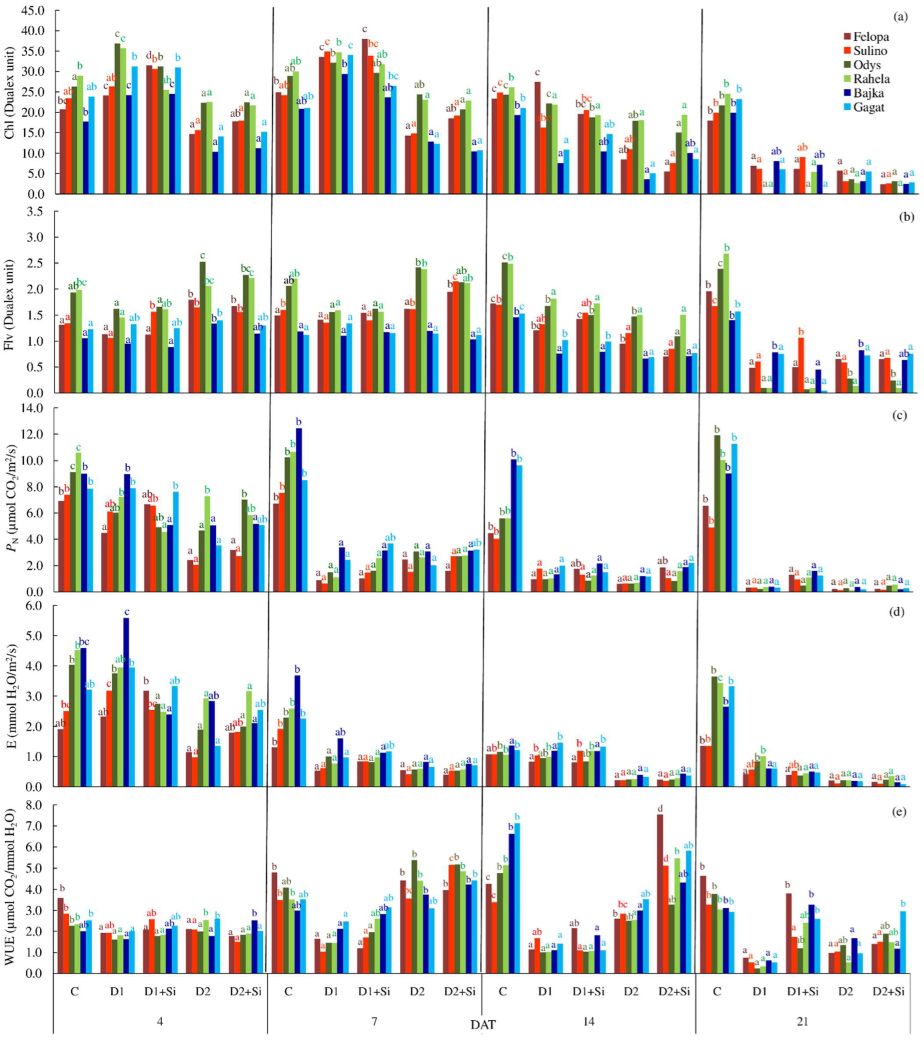 Plants 12 00016 g002