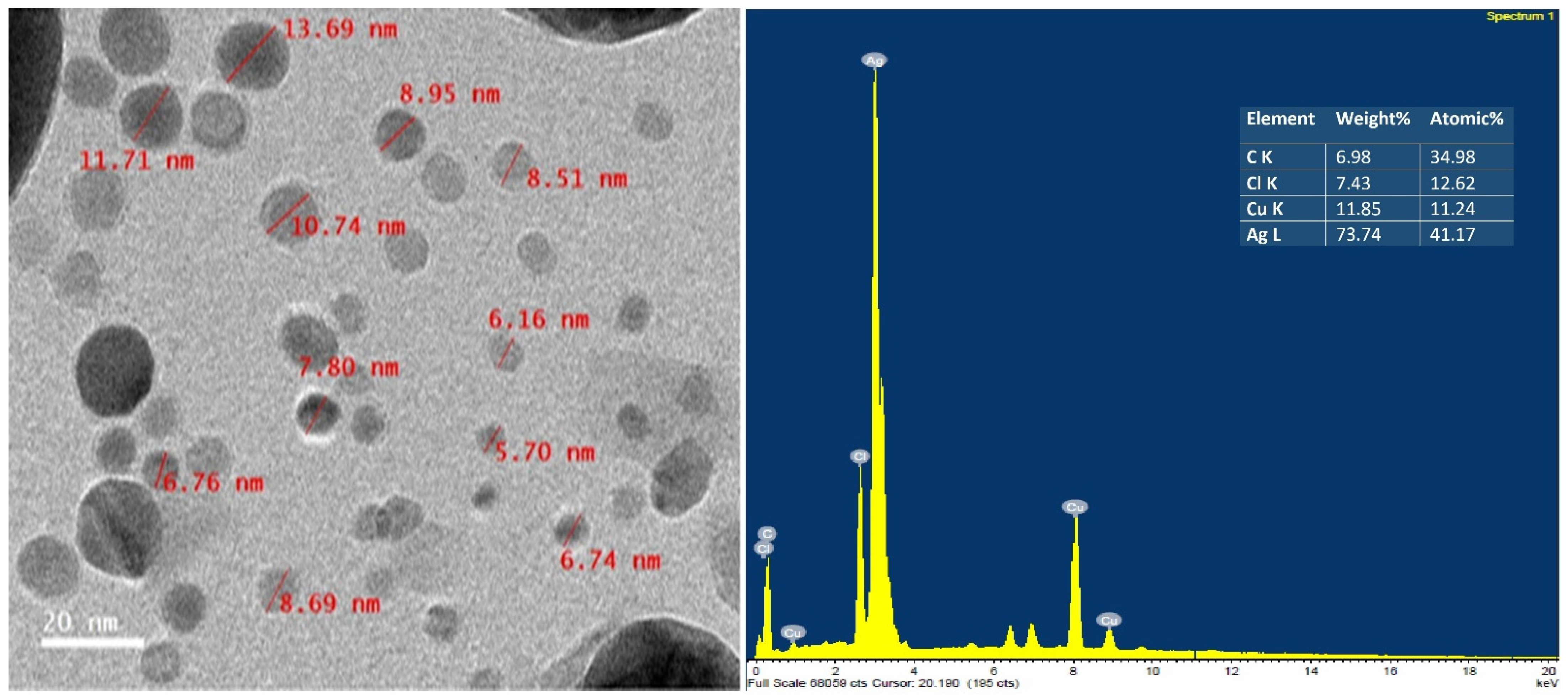Plants 12 00045 g004