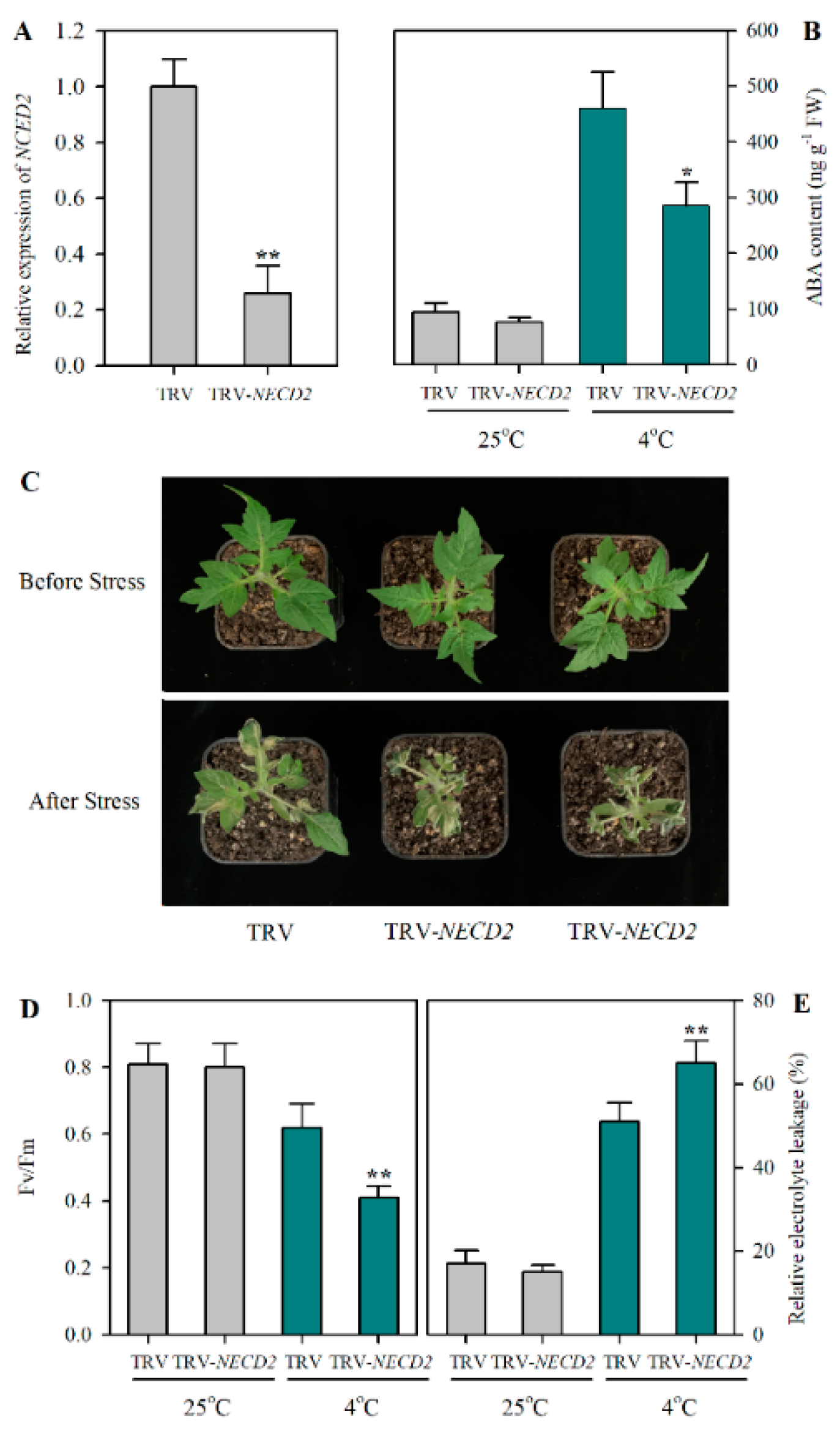 Plants 12 00060 g003