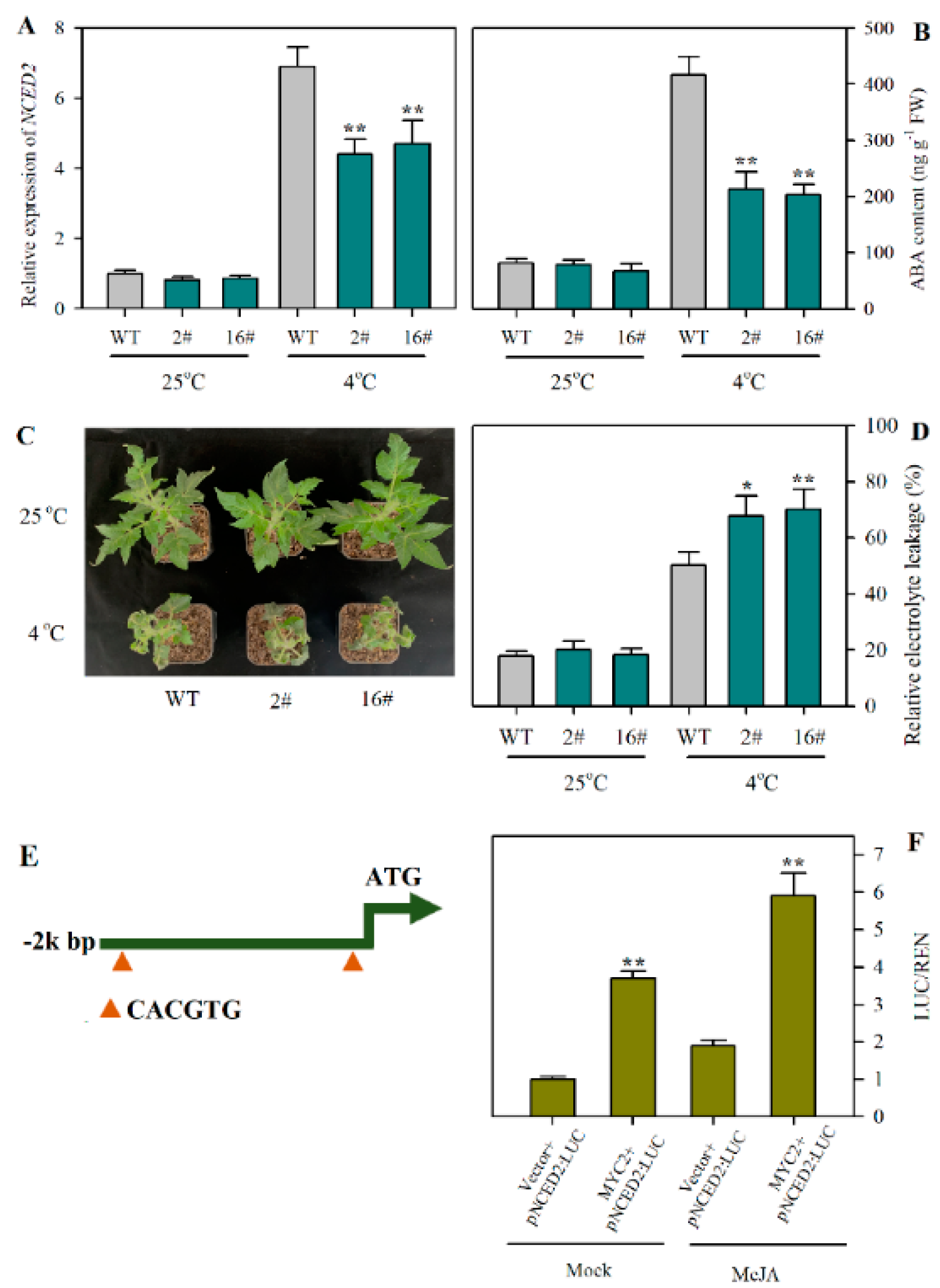 Plants 12 00060 g005