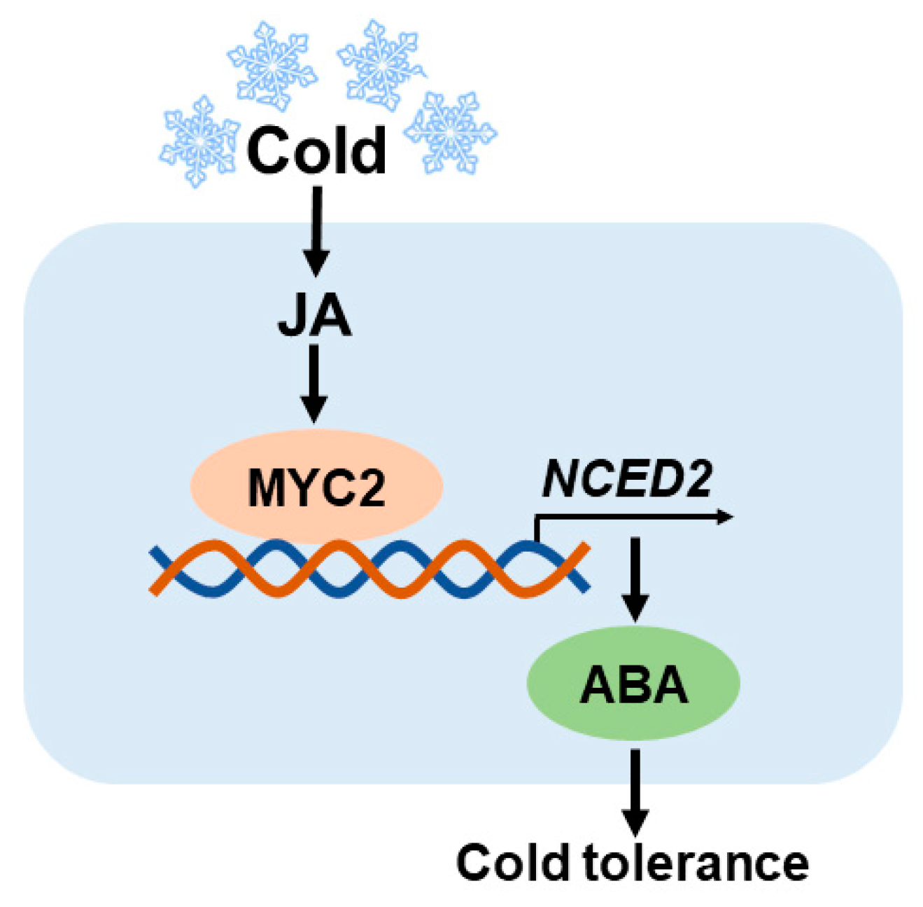 Plants 12 00060 g006