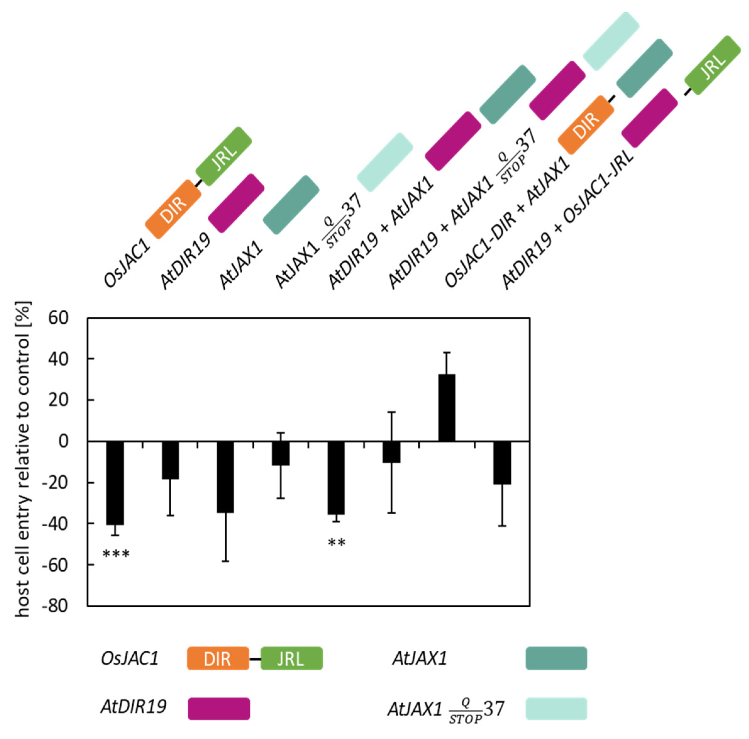 Plants 12 00067 g002 Plants 12 00067 g002
