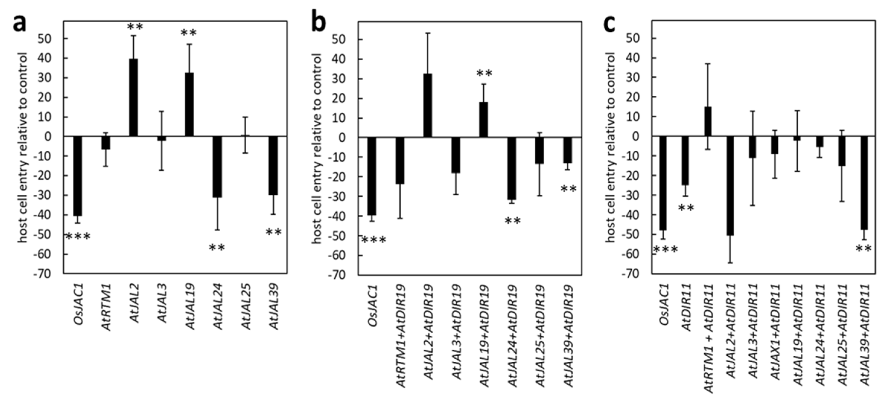 Plants 12 00067 g004 Plants 12 00067 g004
