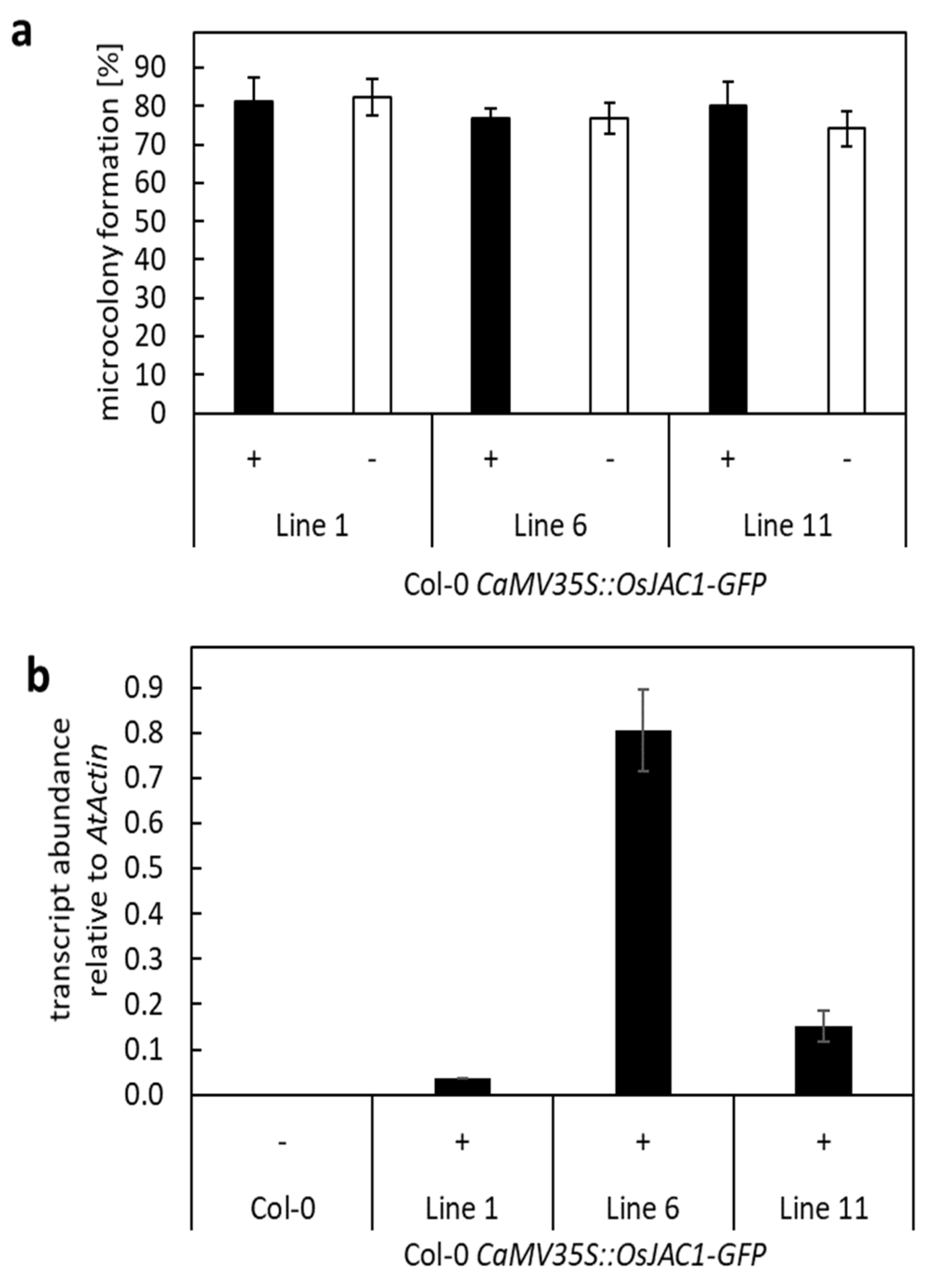 Plants 12 00067 g006 Plants 12 00067 g006