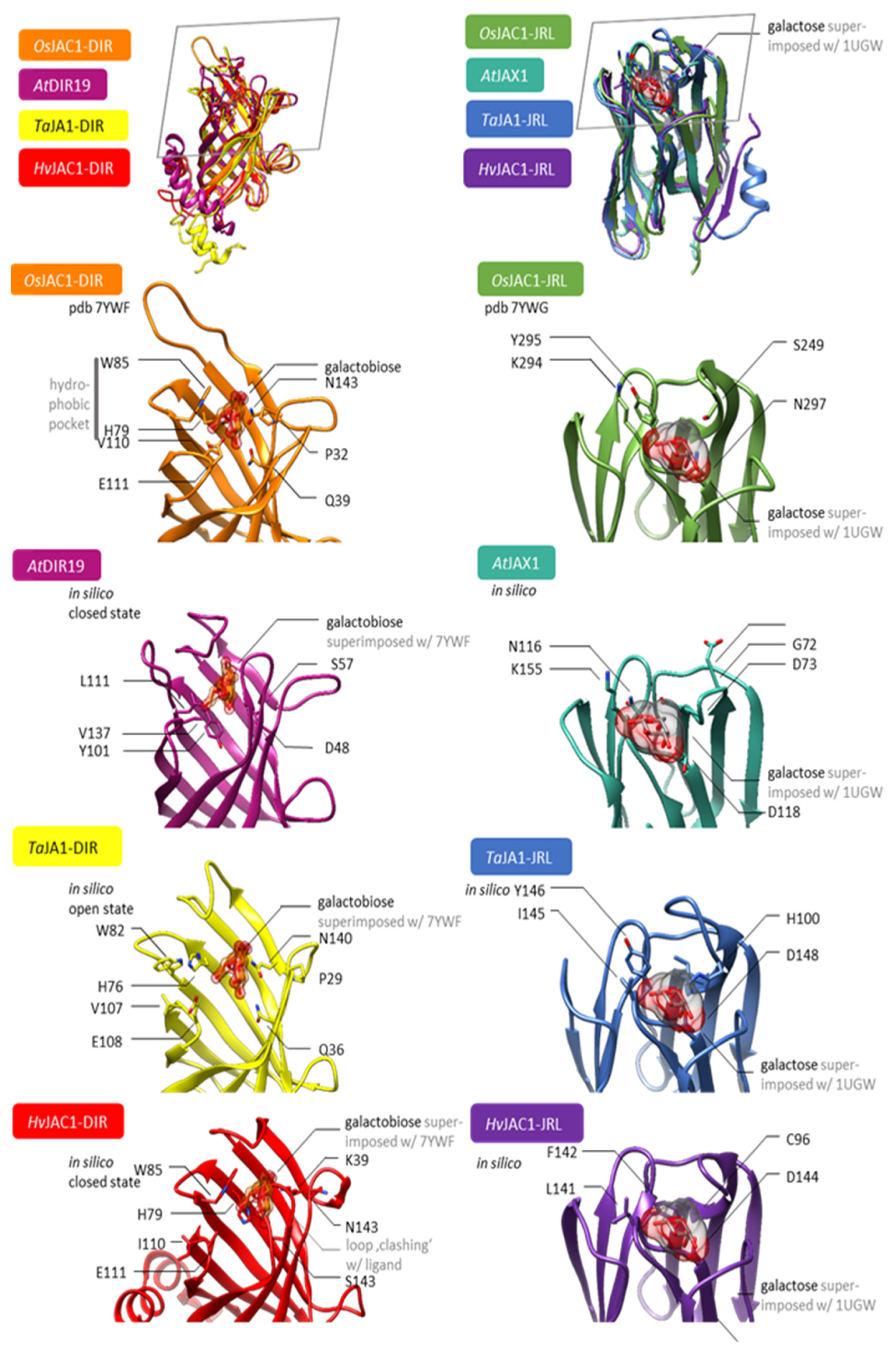 Plants 12 00067 g007 Plants 12 00067 g007