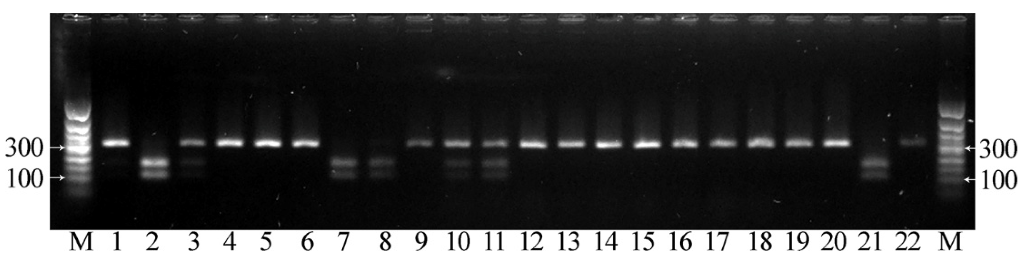 Plants 12 00095 g009