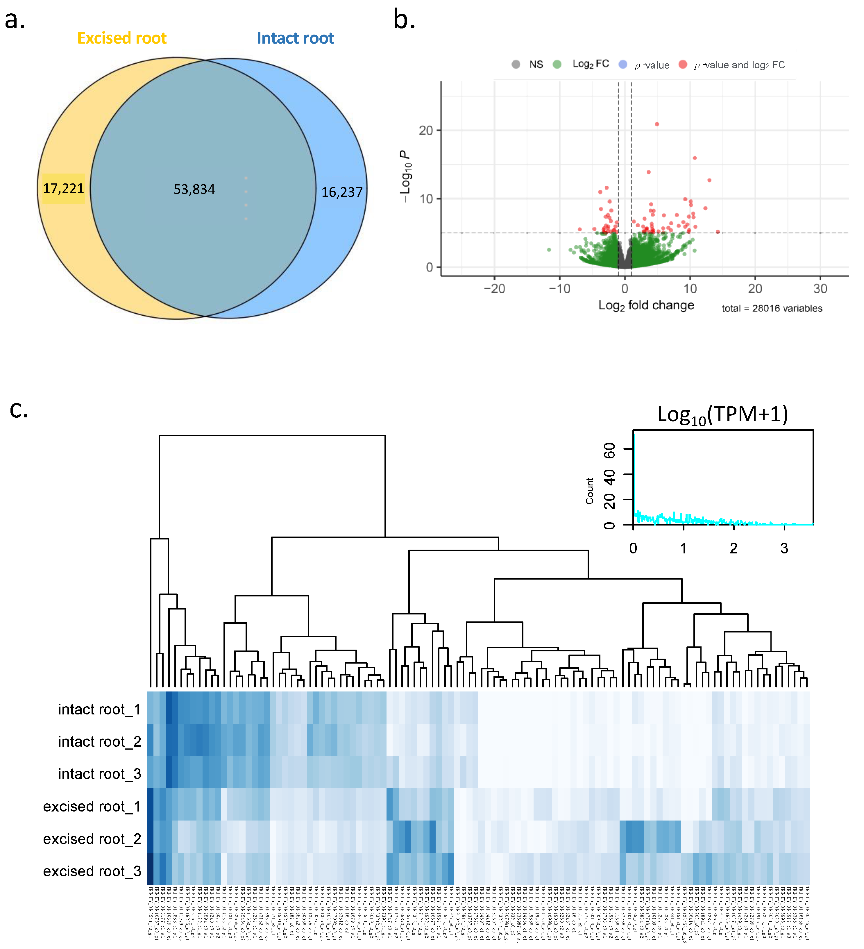 Plants 12 00105 g003