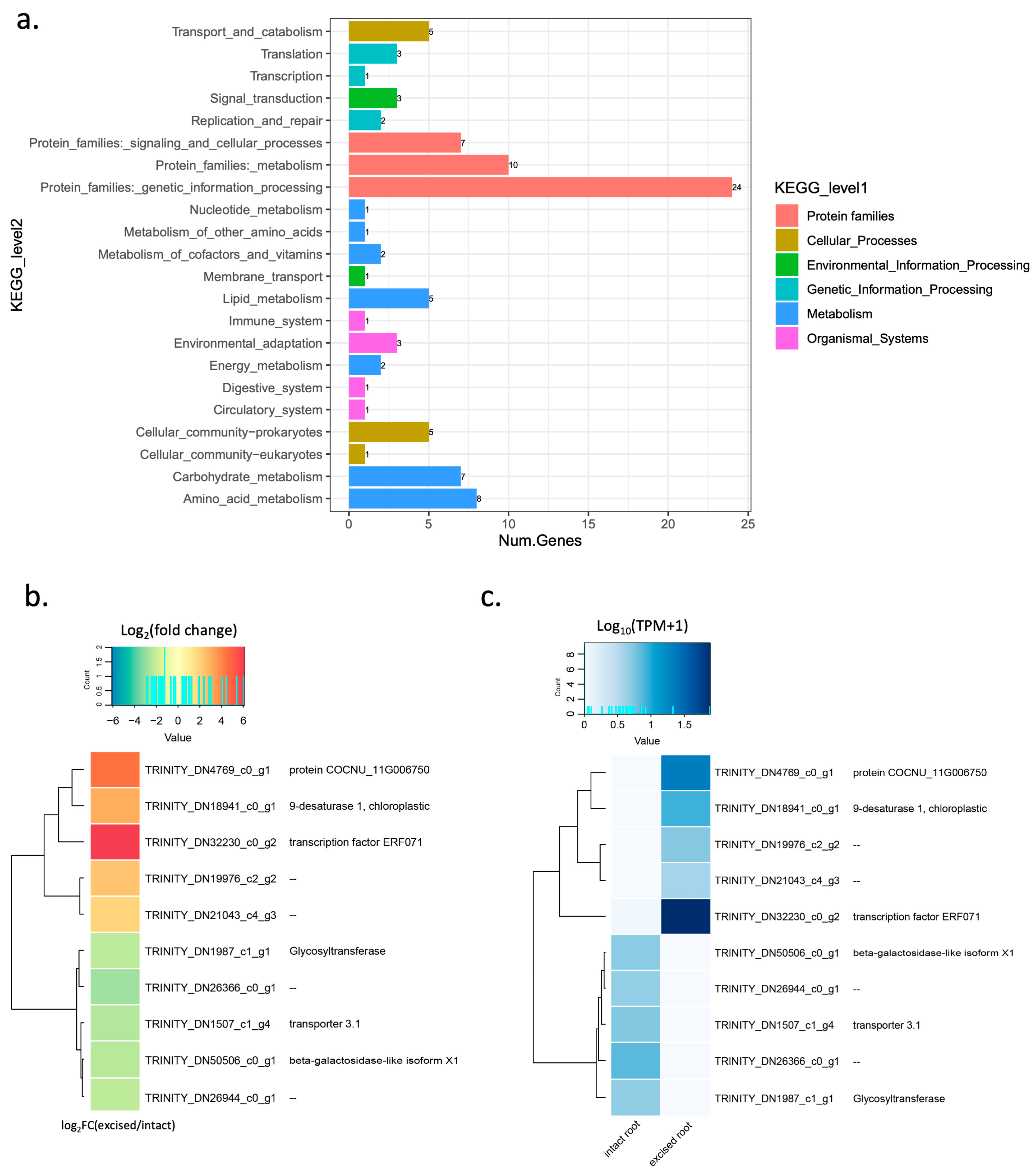 Plants 12 00105 g004