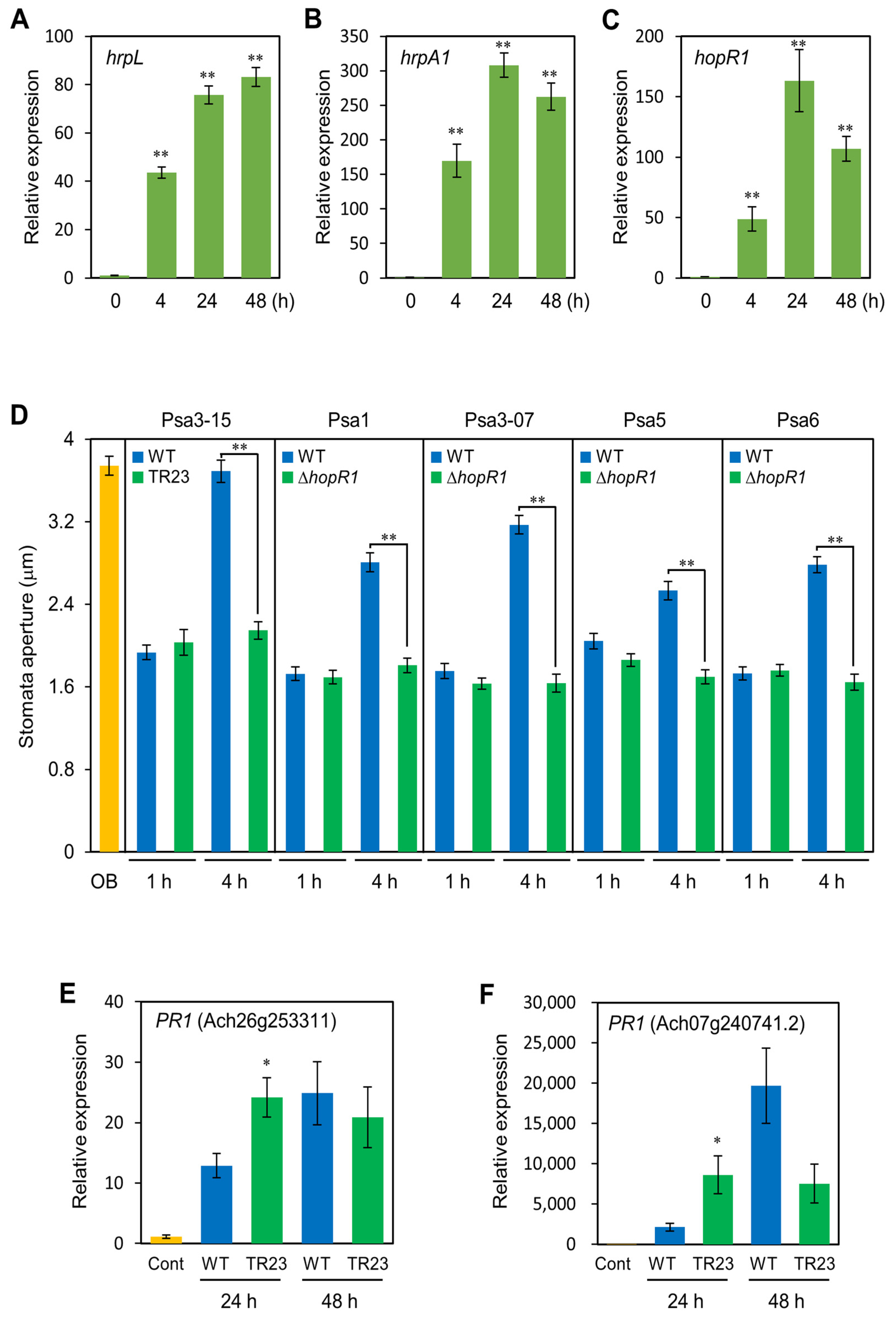 Plants 12 00141 g004 Plants 12 00141 g004