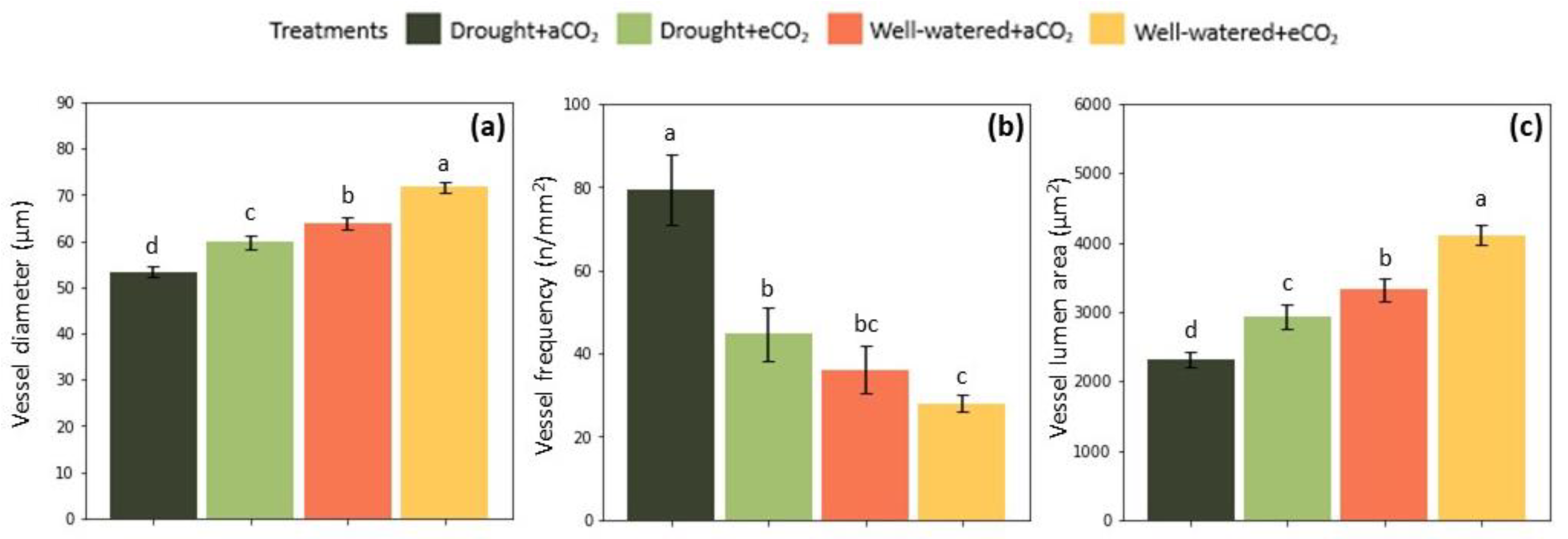 Plants 12 00148 g007 Plants 12 00148 g007