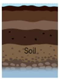 Plants 12 00149 i001 Plants 12 00149 i001