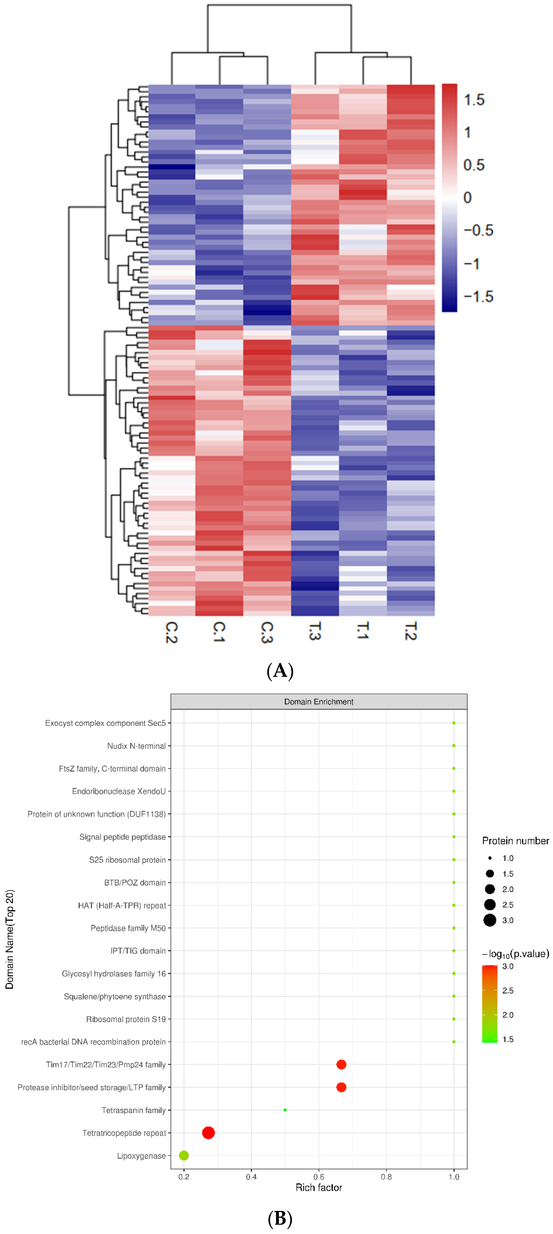 Plants 12 00157 g002a Plants 12 00157 g002a