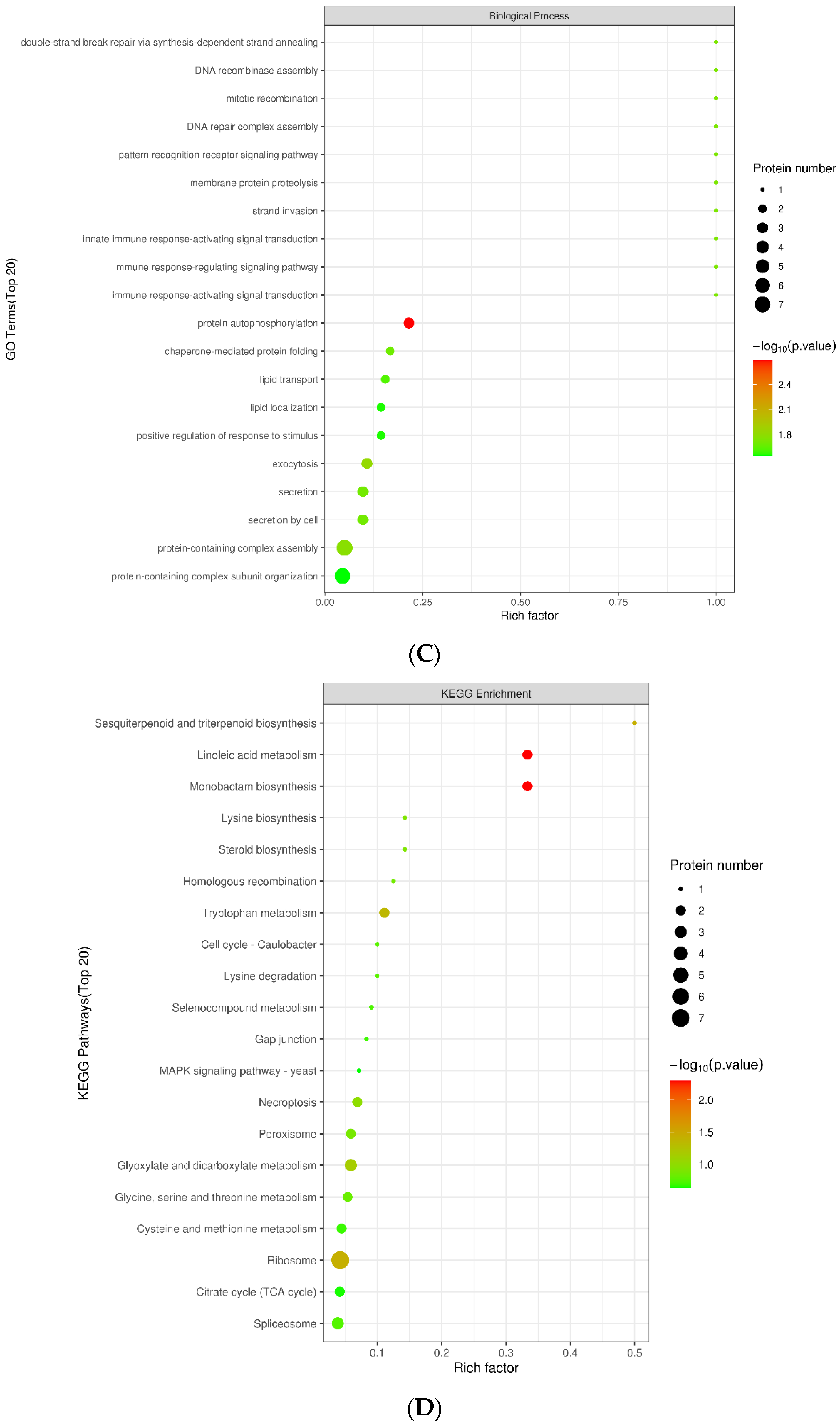 Plants 12 00157 g002b Plants 12 00157 g002b