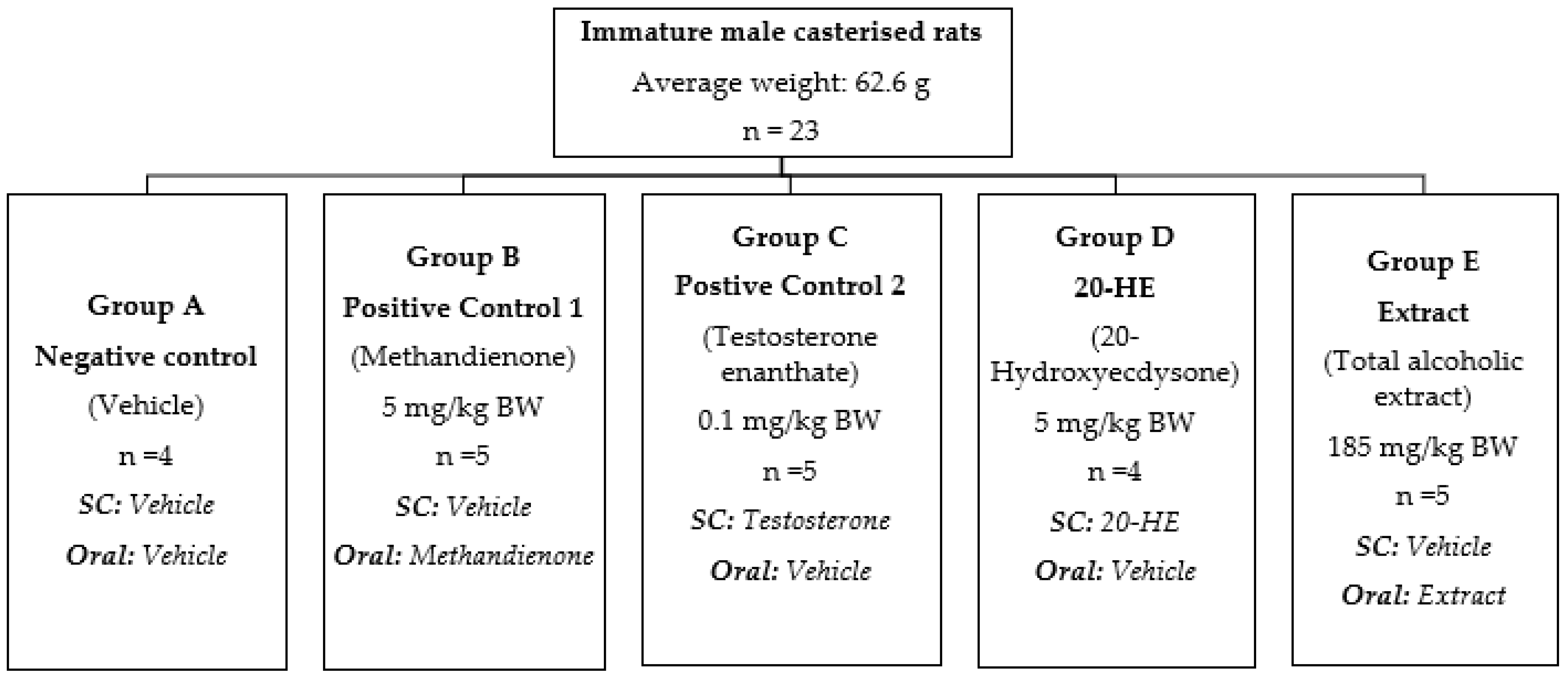 Phytoecdysteroids And Anabolic Effect Of Atriplex Dimorphostegia UPLC PDA MS MS Profiling In