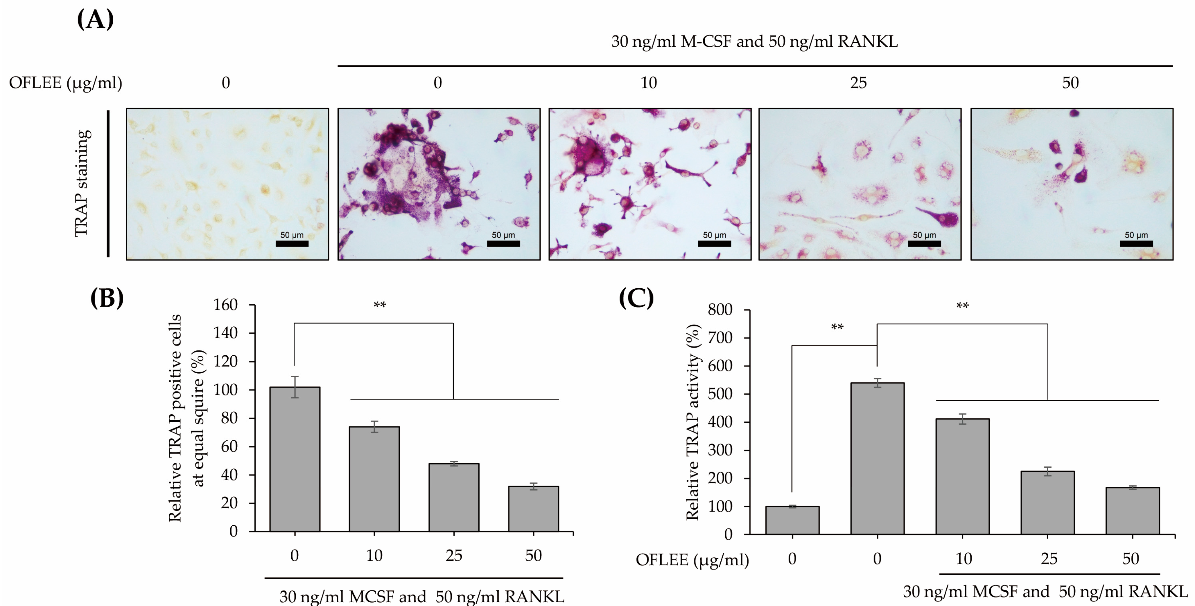 Plants 12 00253 g002