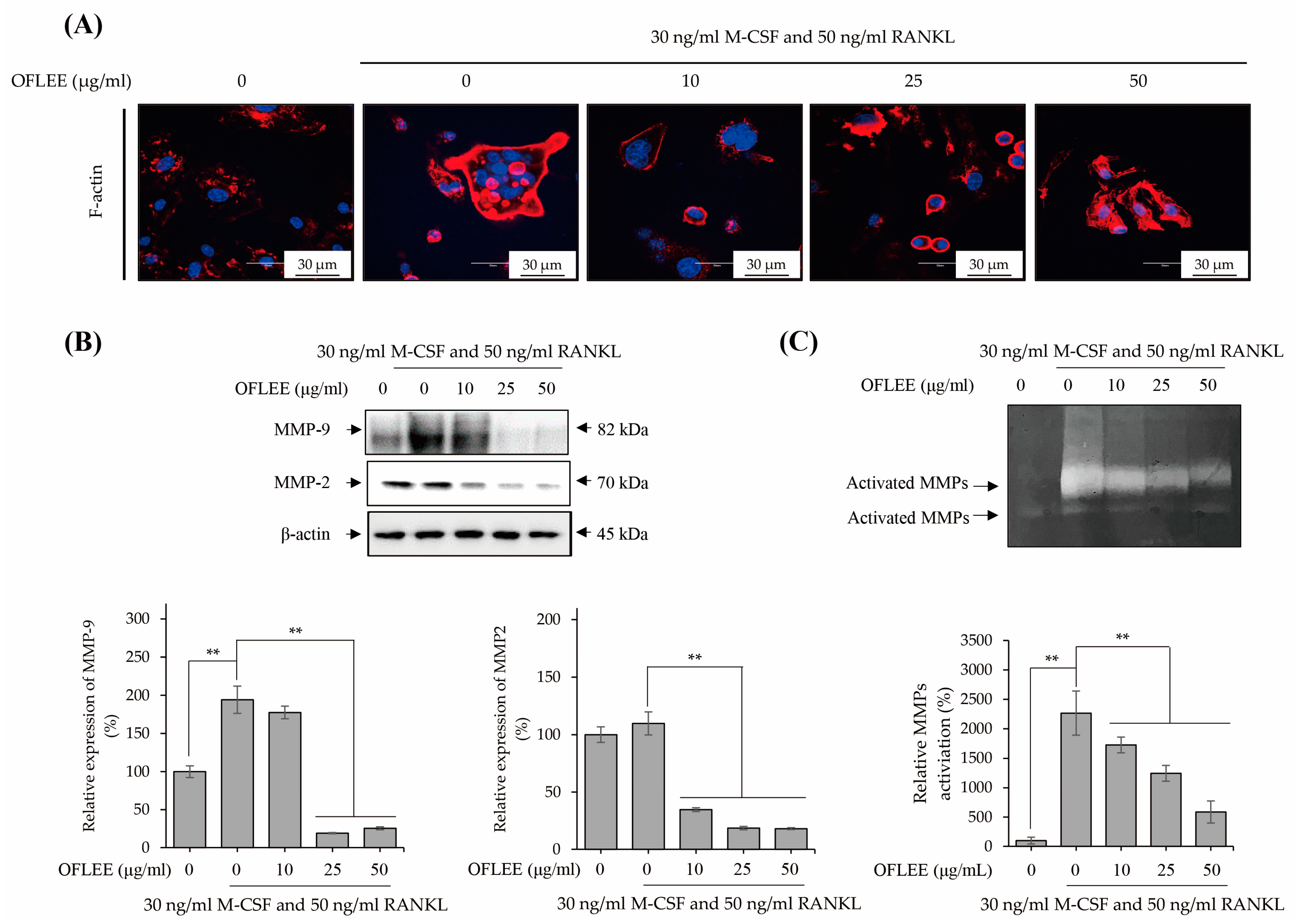 Plants 12 00253 g003