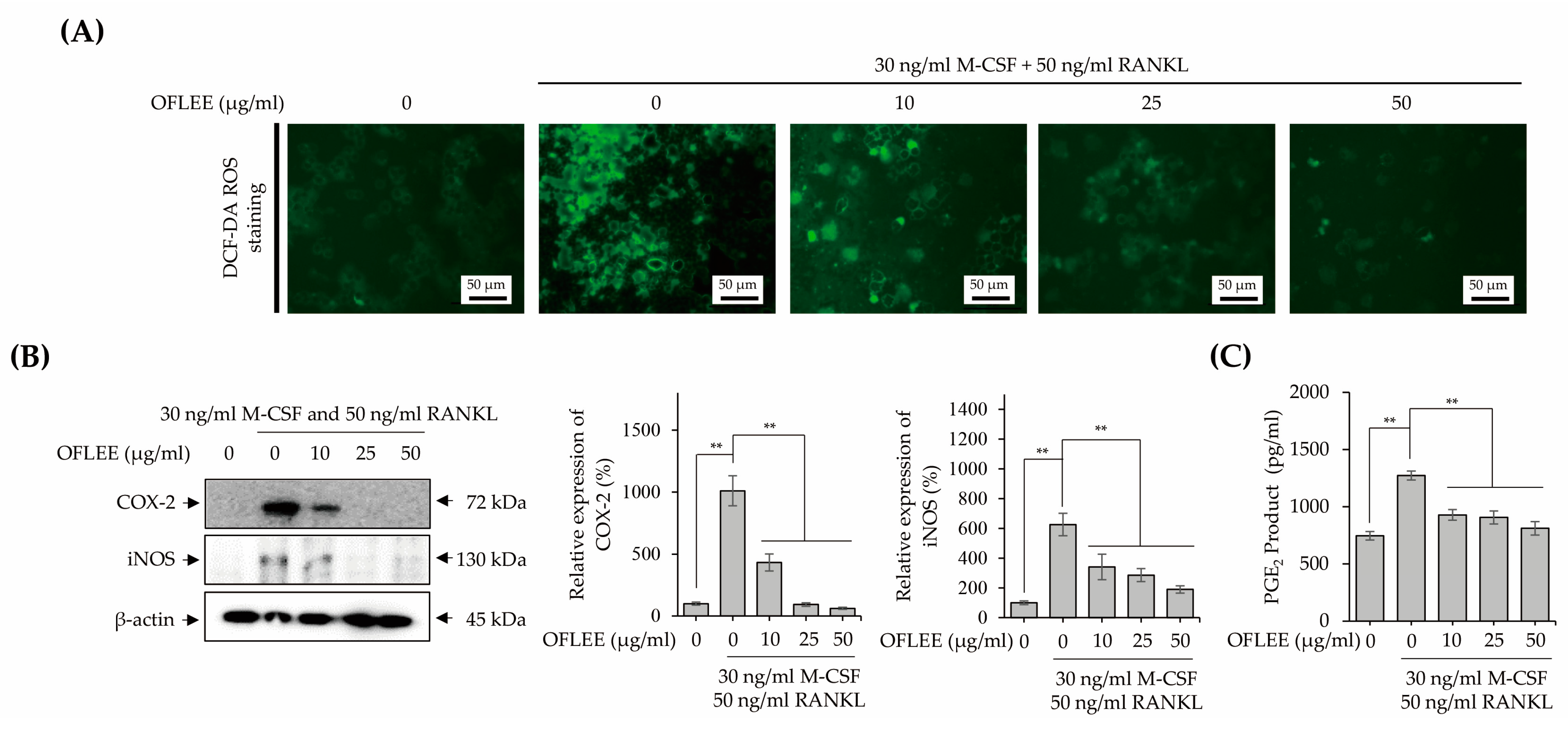 Plants 12 00253 g005