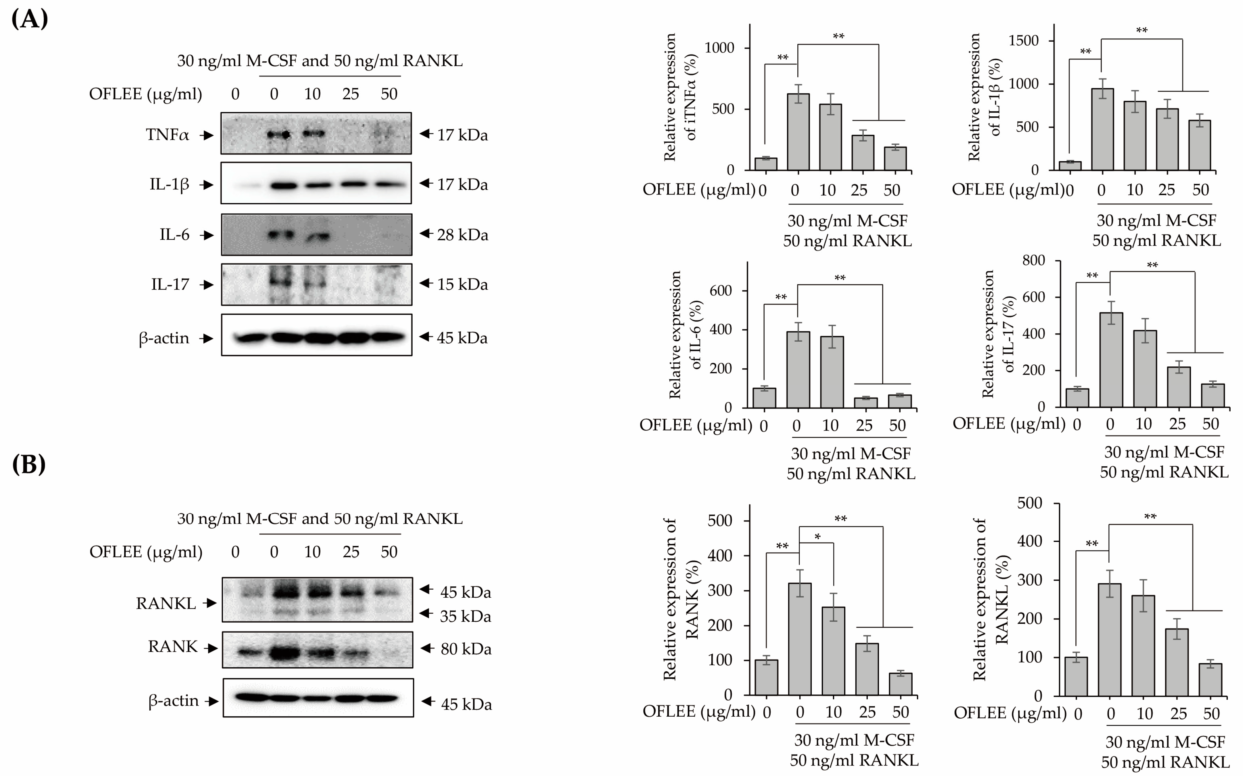 Plants 12 00253 g006