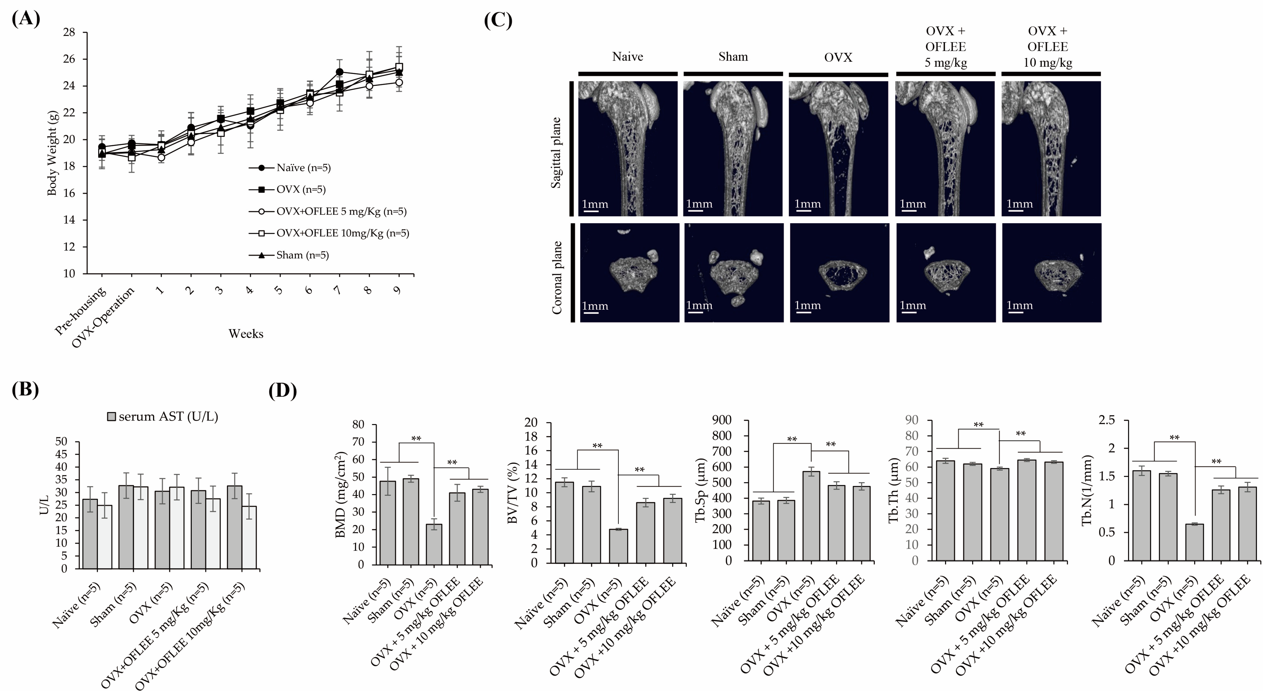 Plants 12 00253 g007