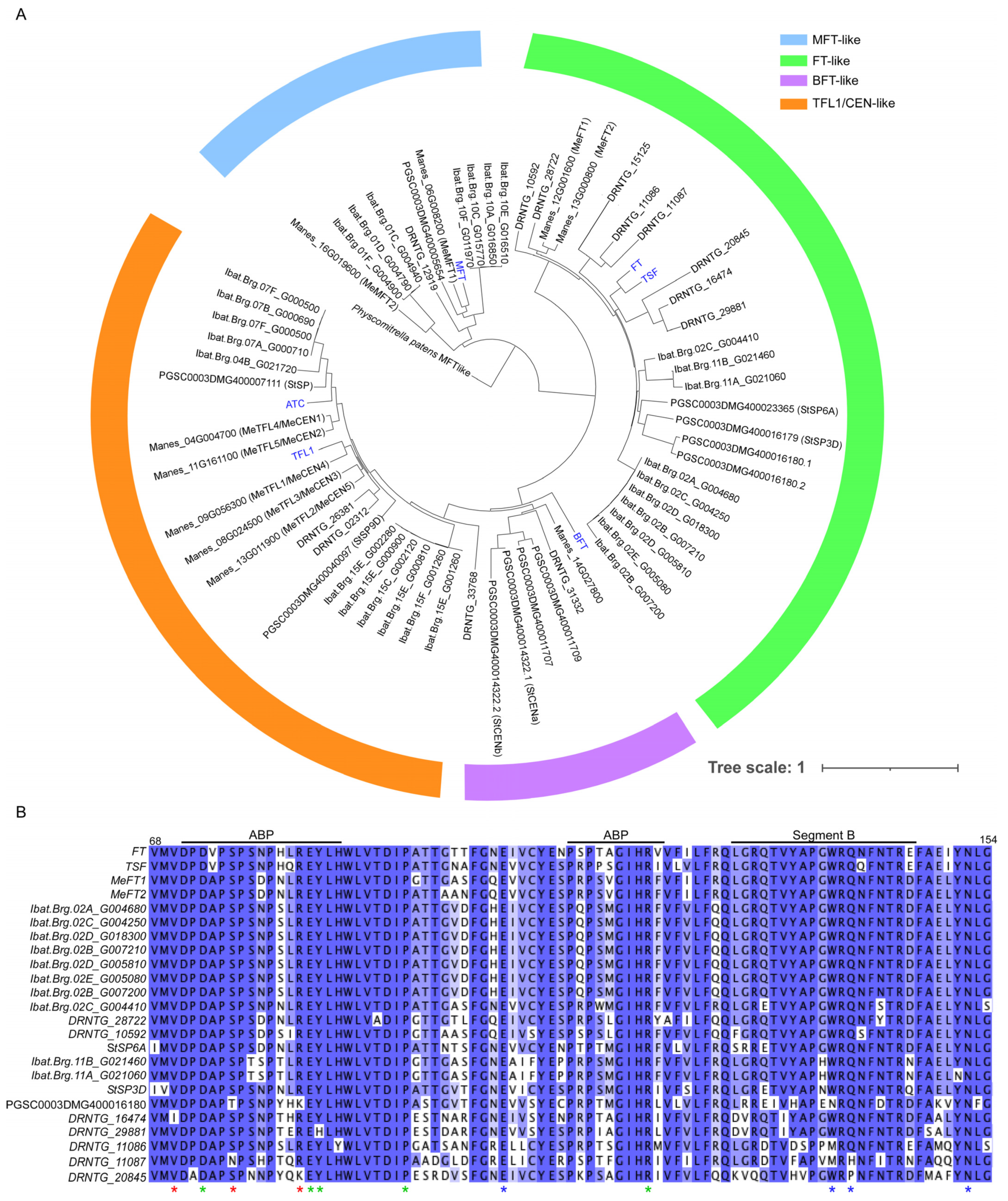 Plants 12 00264 g001 Plants 12 00264 g001