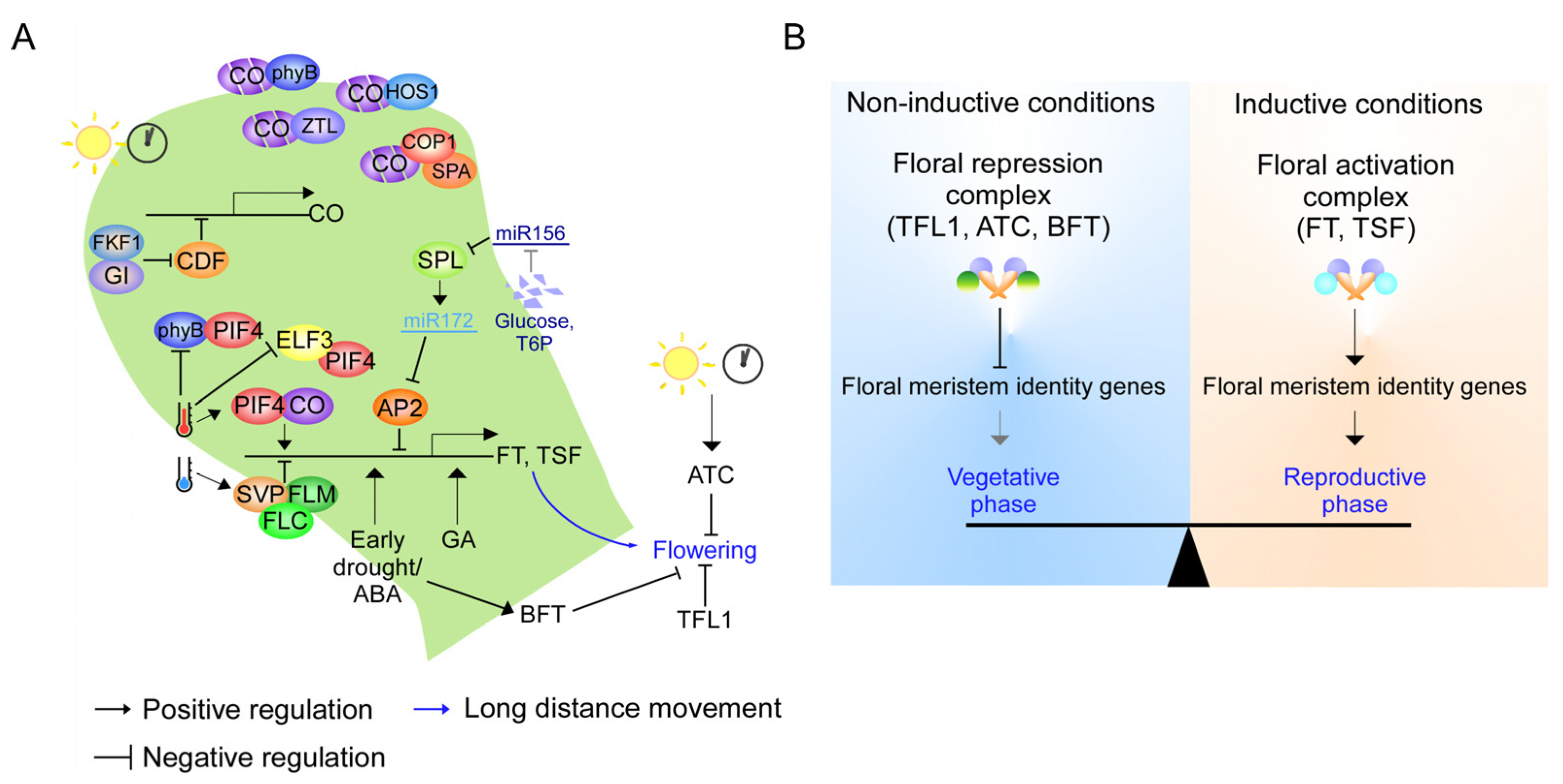 Plants 12 00264 g002 Plants 12 00264 g002