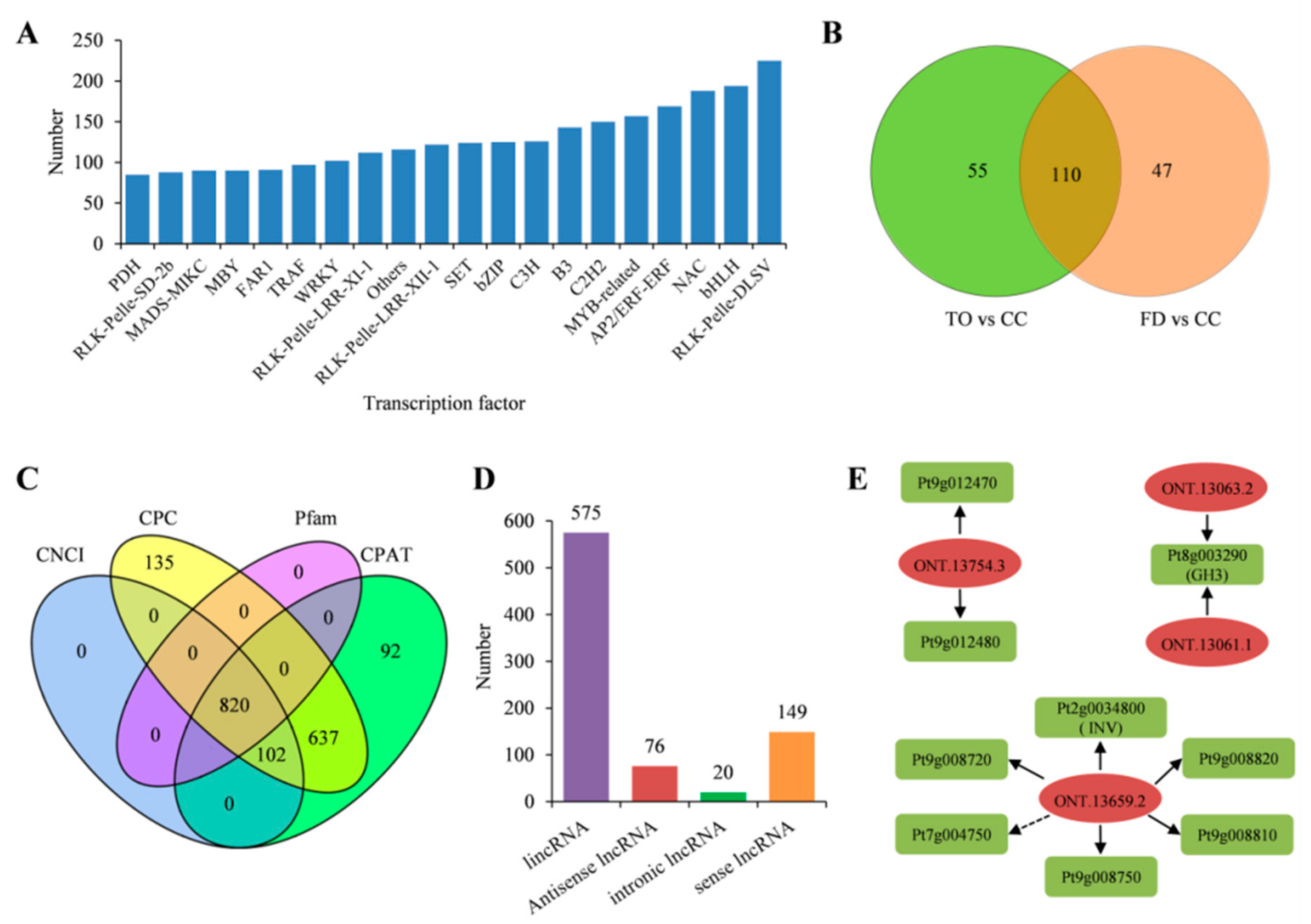 Plants 12 00271 g007