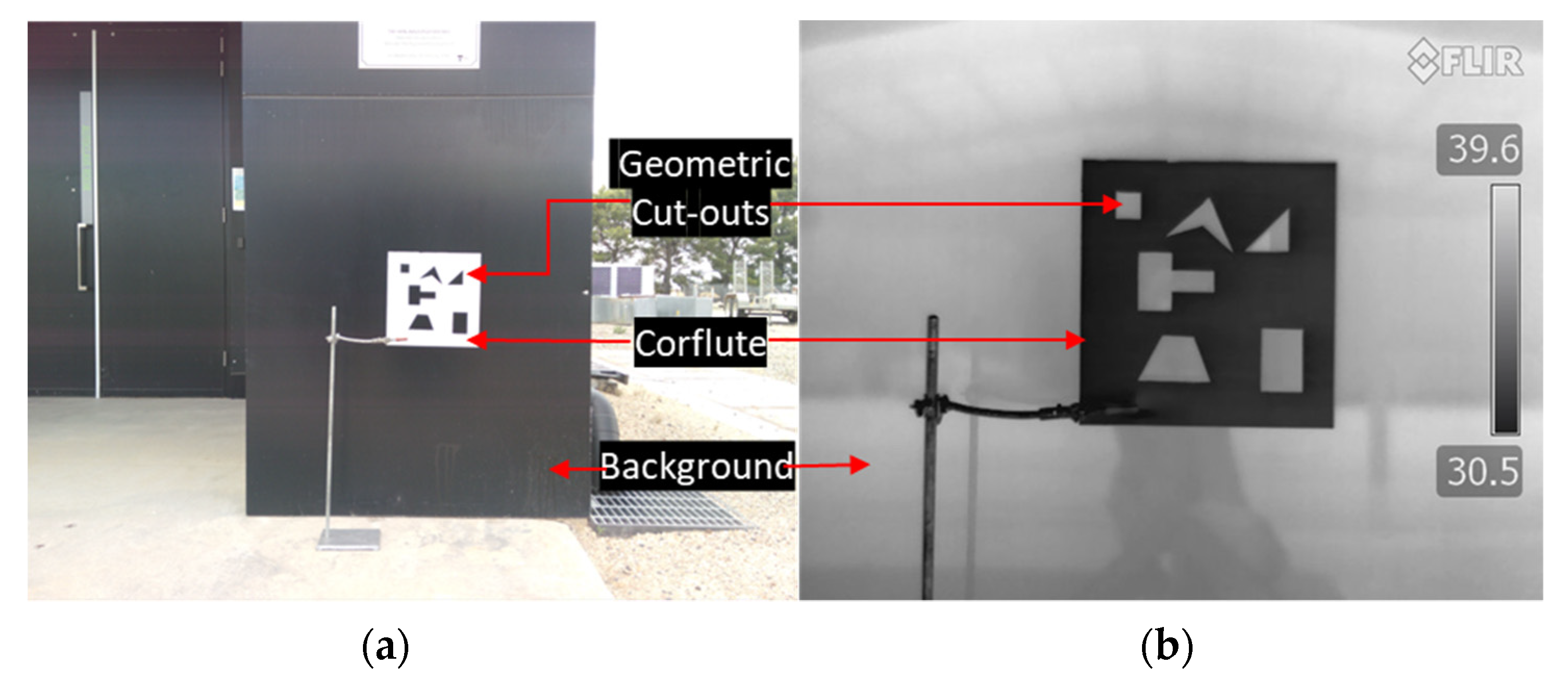 Plants 12 00317 g005 Plants 12 00317 g005