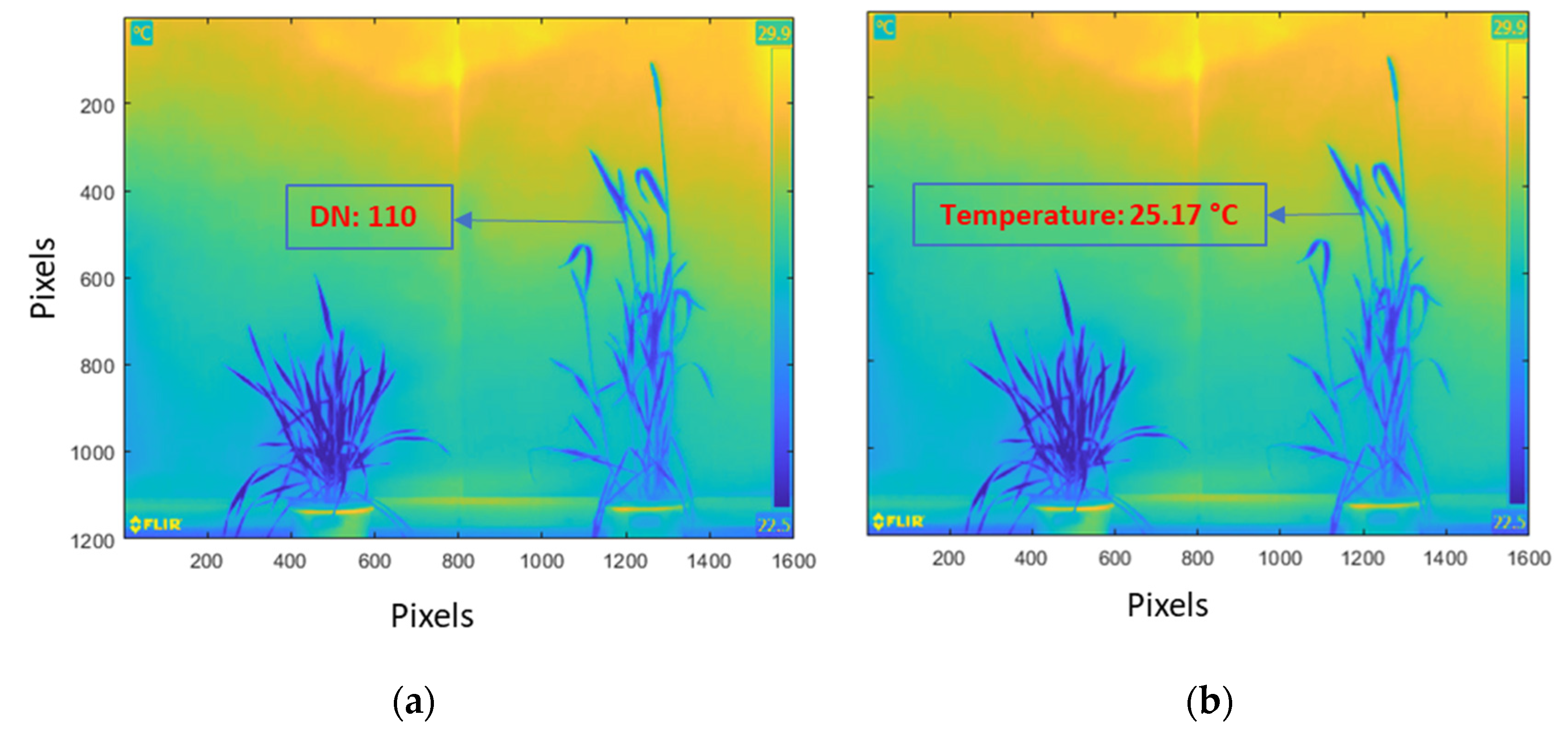 Plants 12 00317 g008 Plants 12 00317 g008