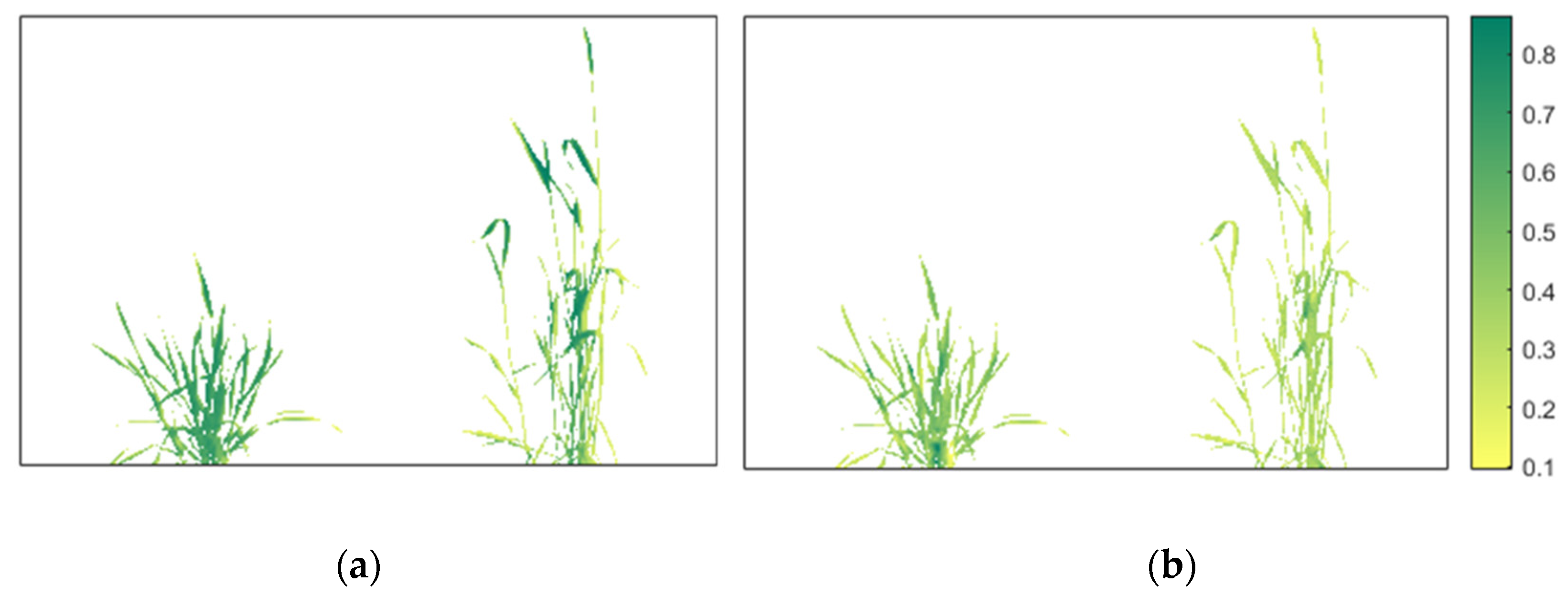 Plants 12 00317 g012 Plants 12 00317 g012