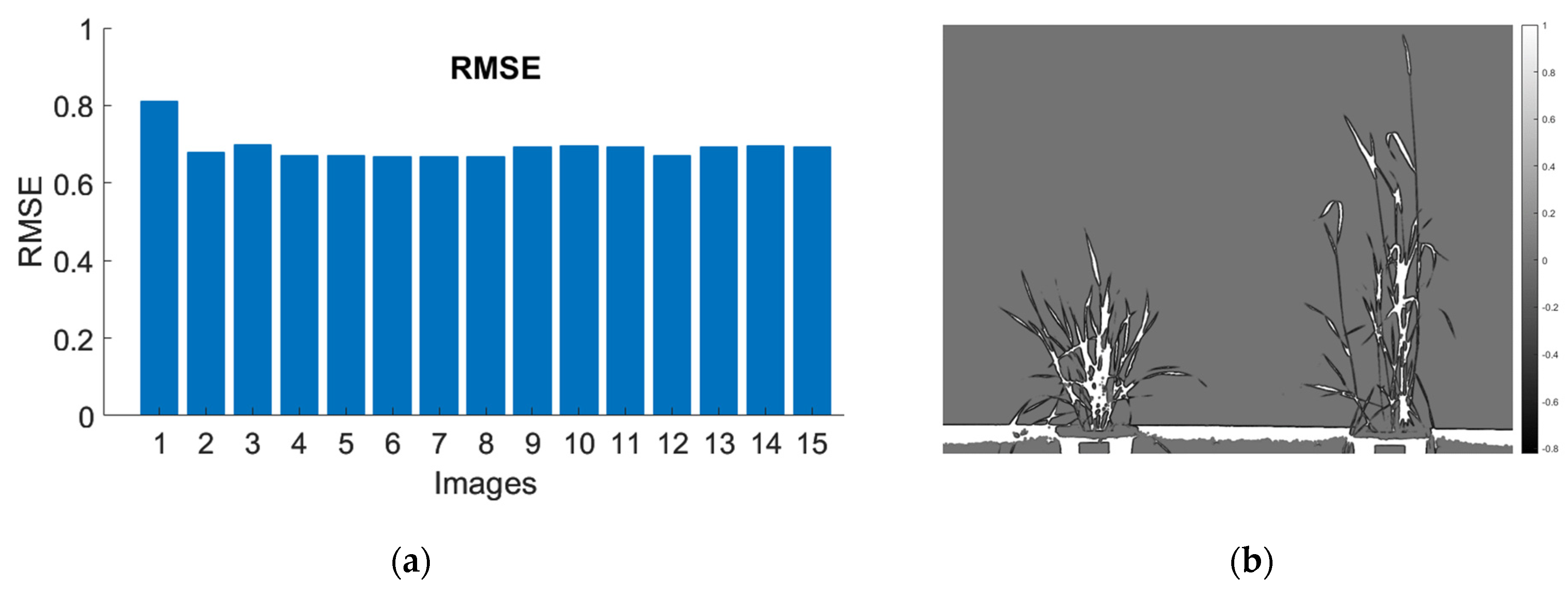 Plants 12 00317 g015 Plants 12 00317 g015