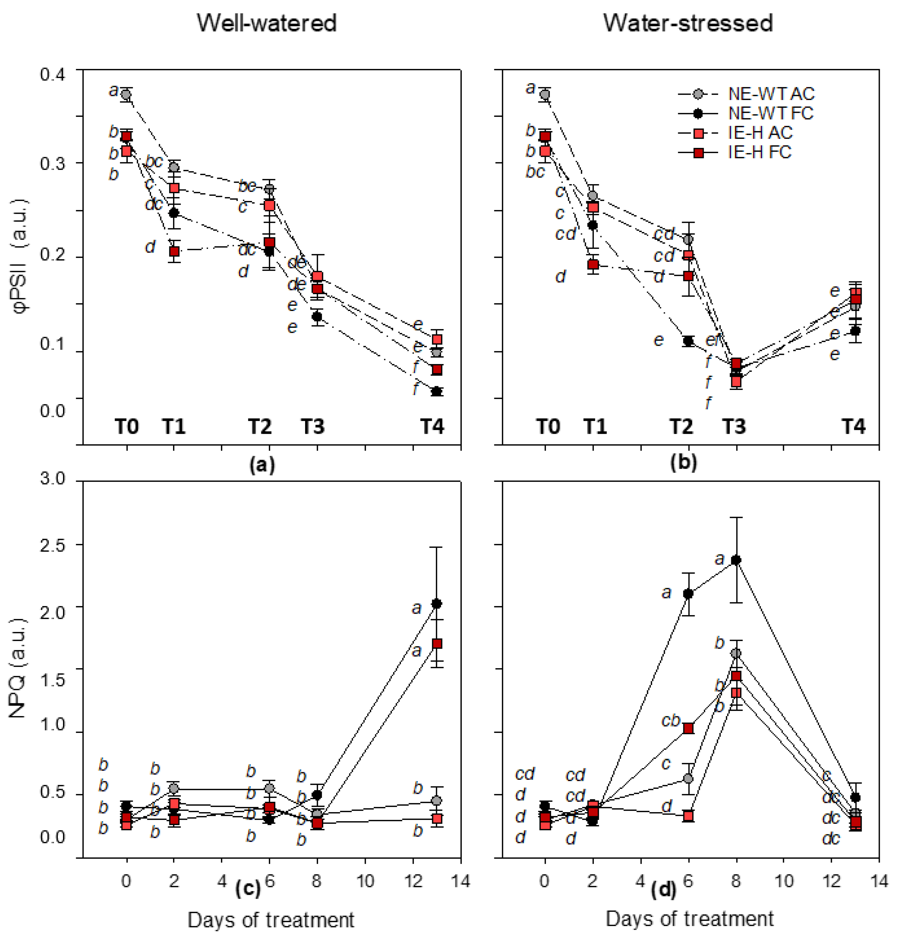 Plants 12 00333 g002