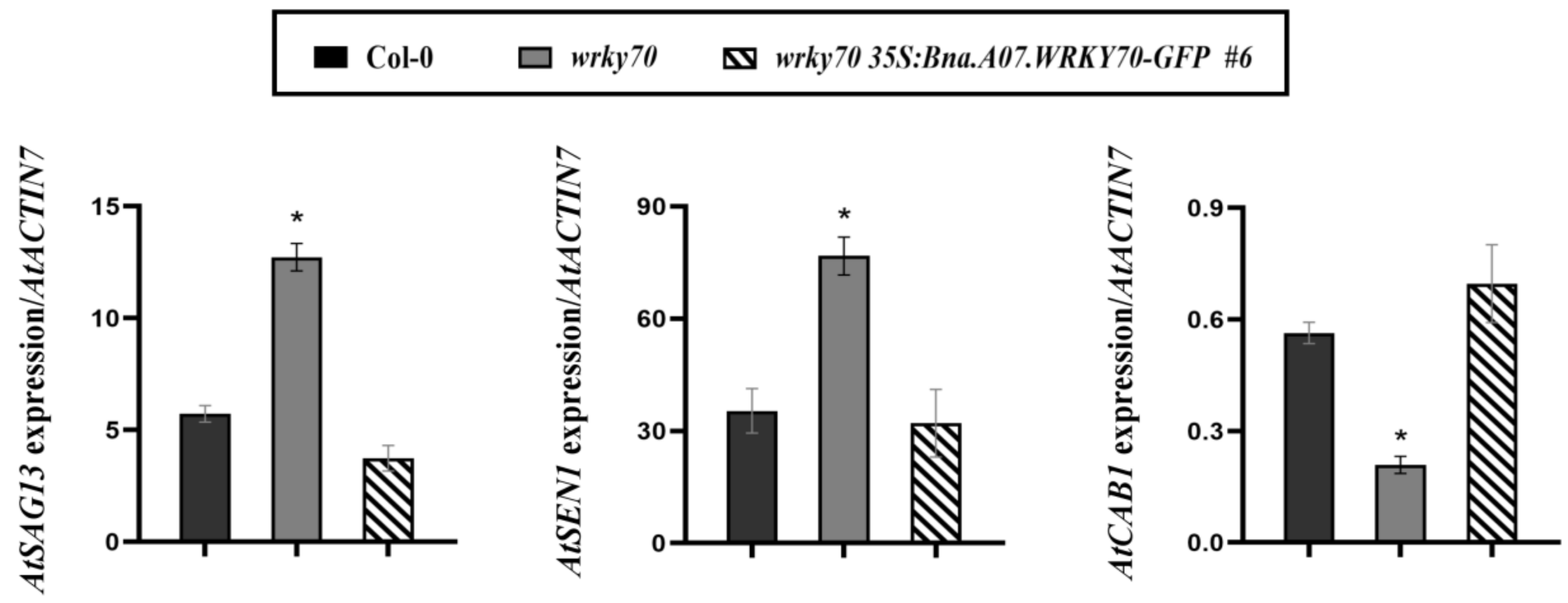 Plants 12 00347 g006 Plants 12 00347 g006