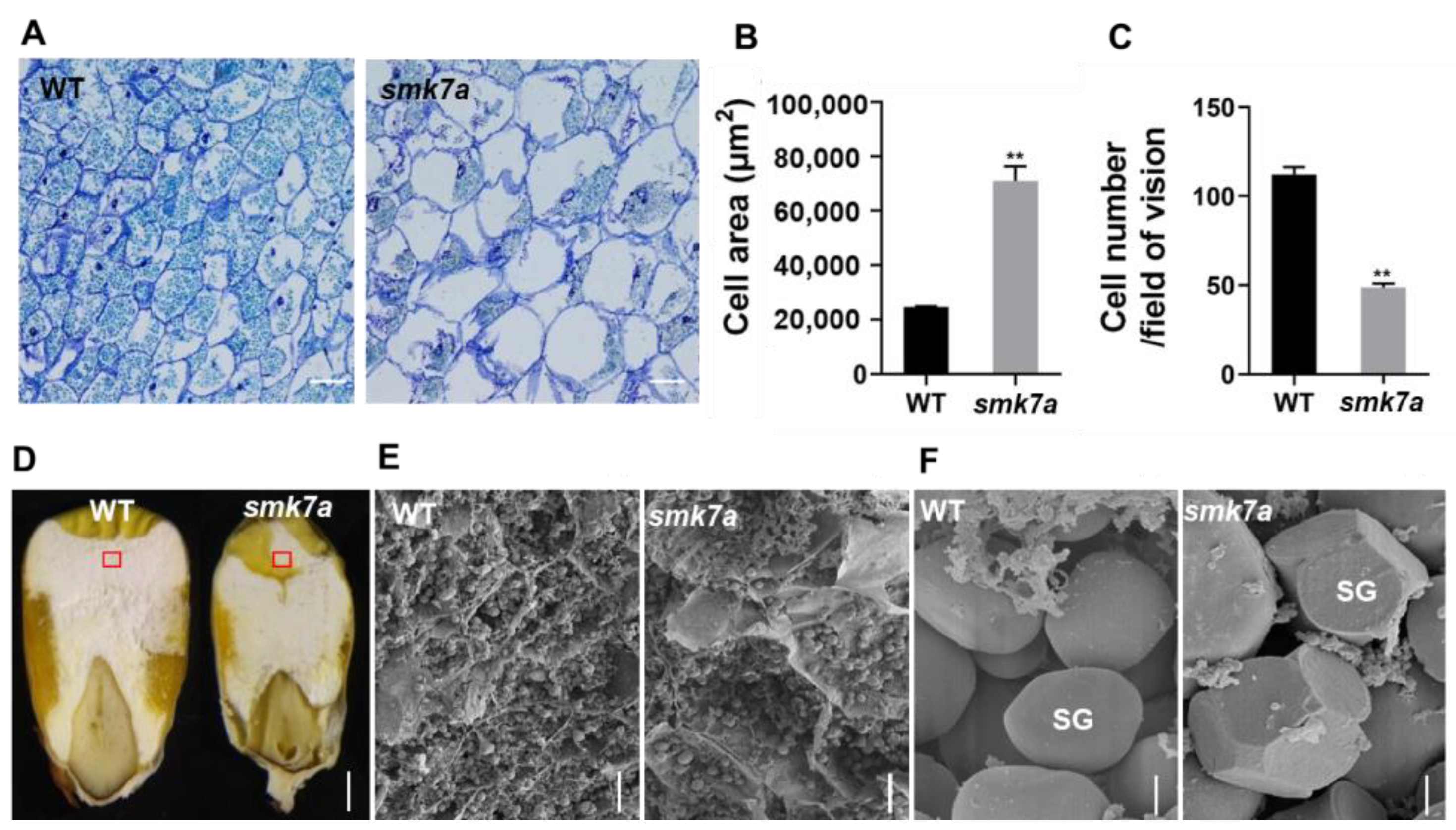 Plants 12 00354 g002