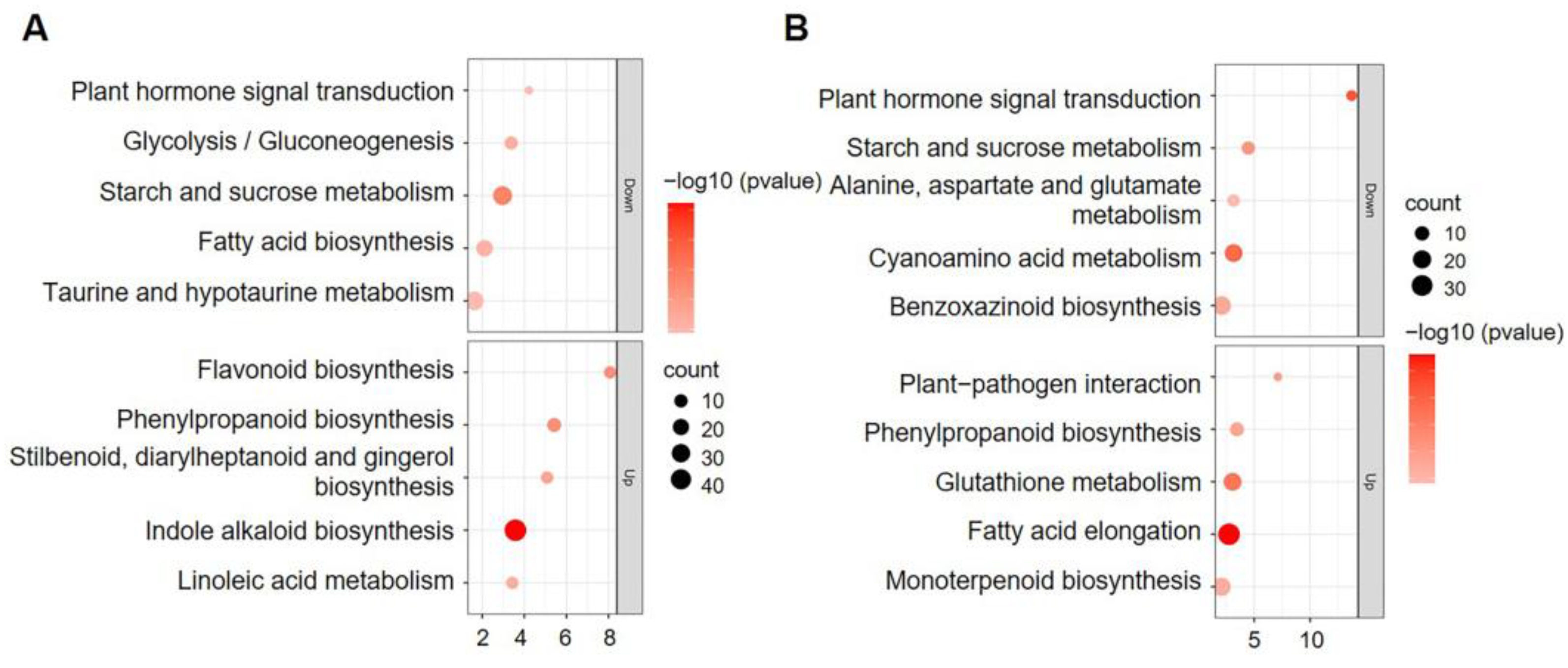 Plants 12 00354 g004