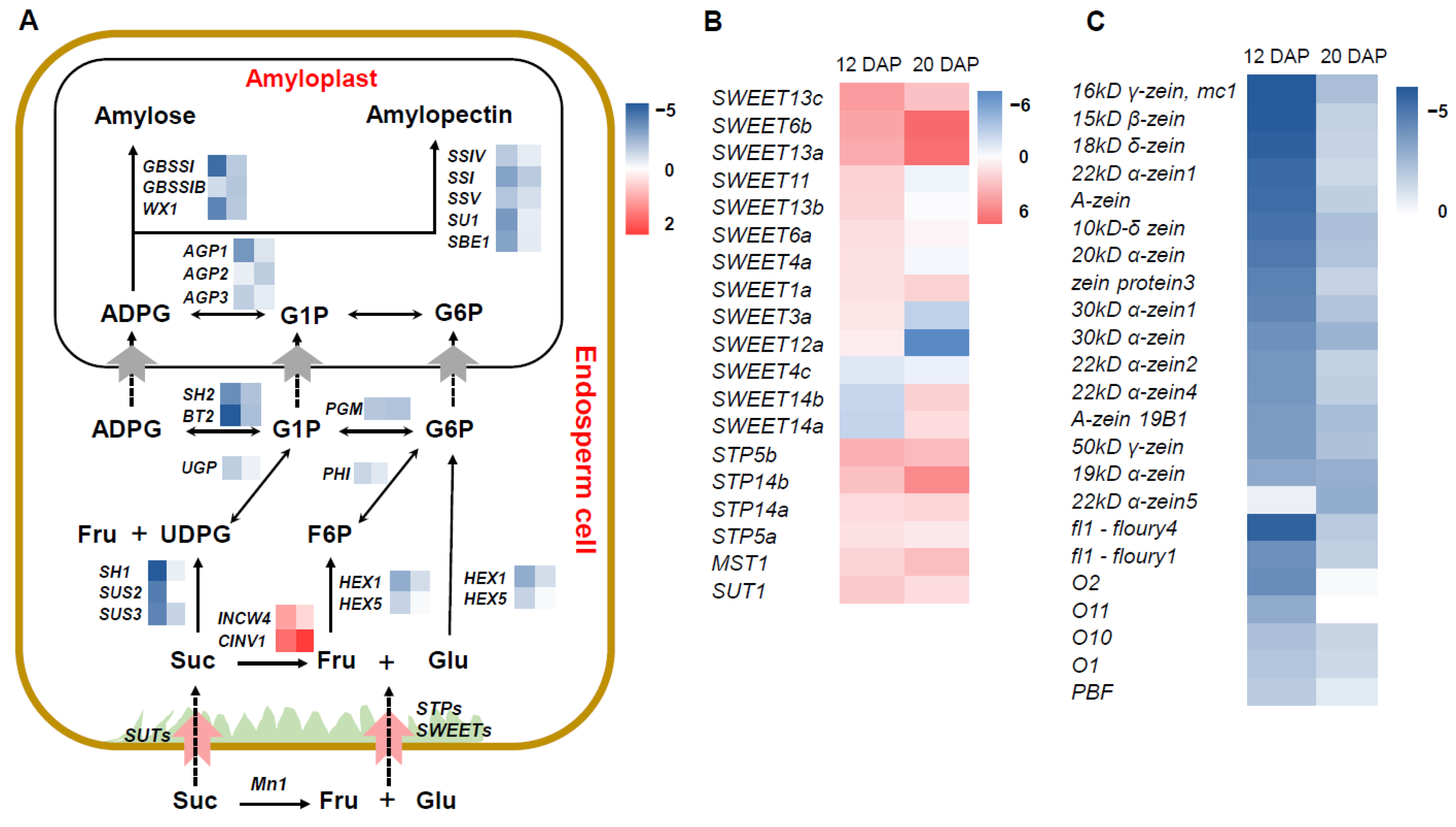 Plants 12 00354 g005